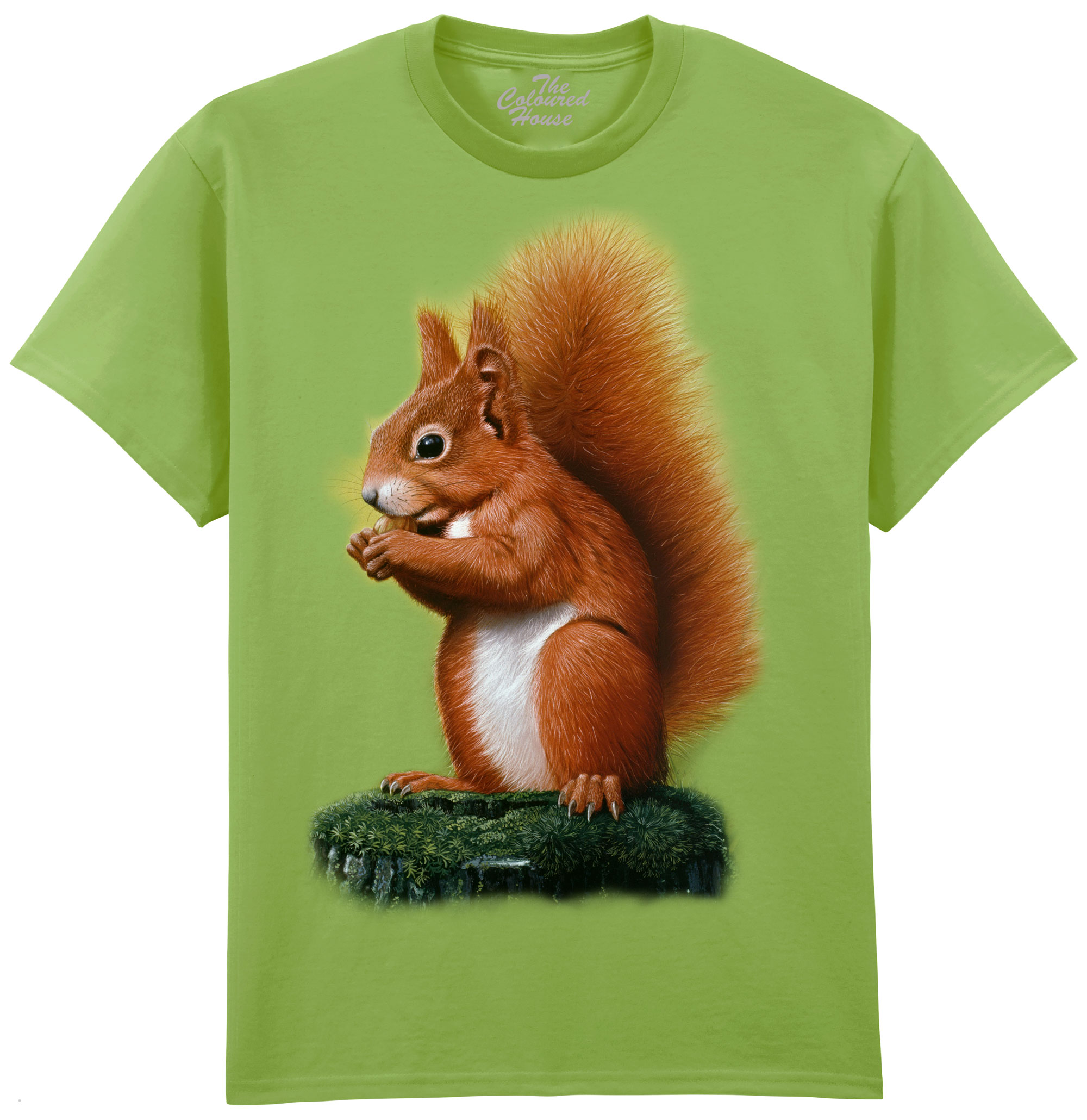 Red Squirrel