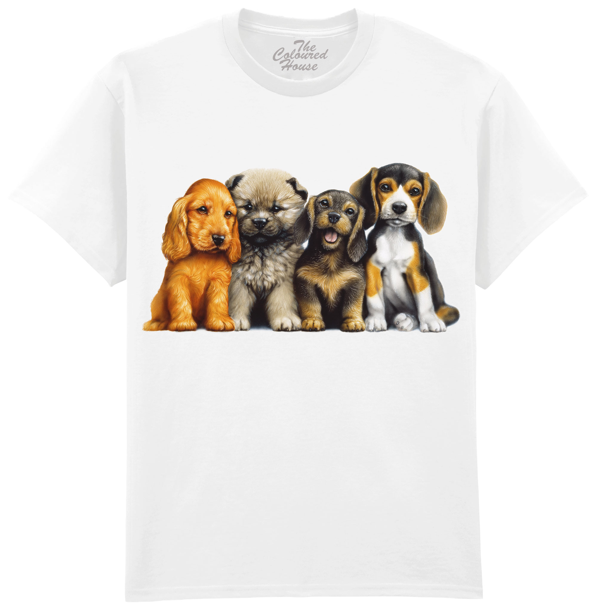 Young Dogs