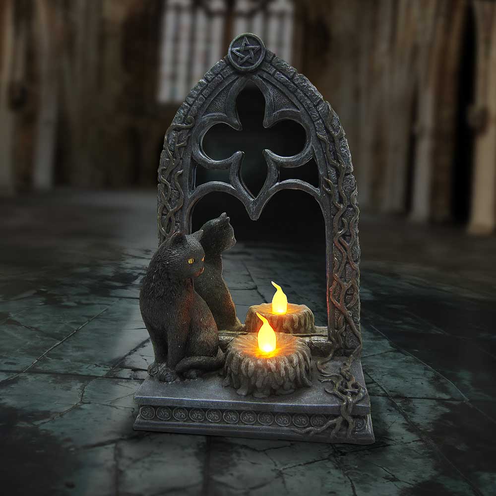 Cat Magic Mirror