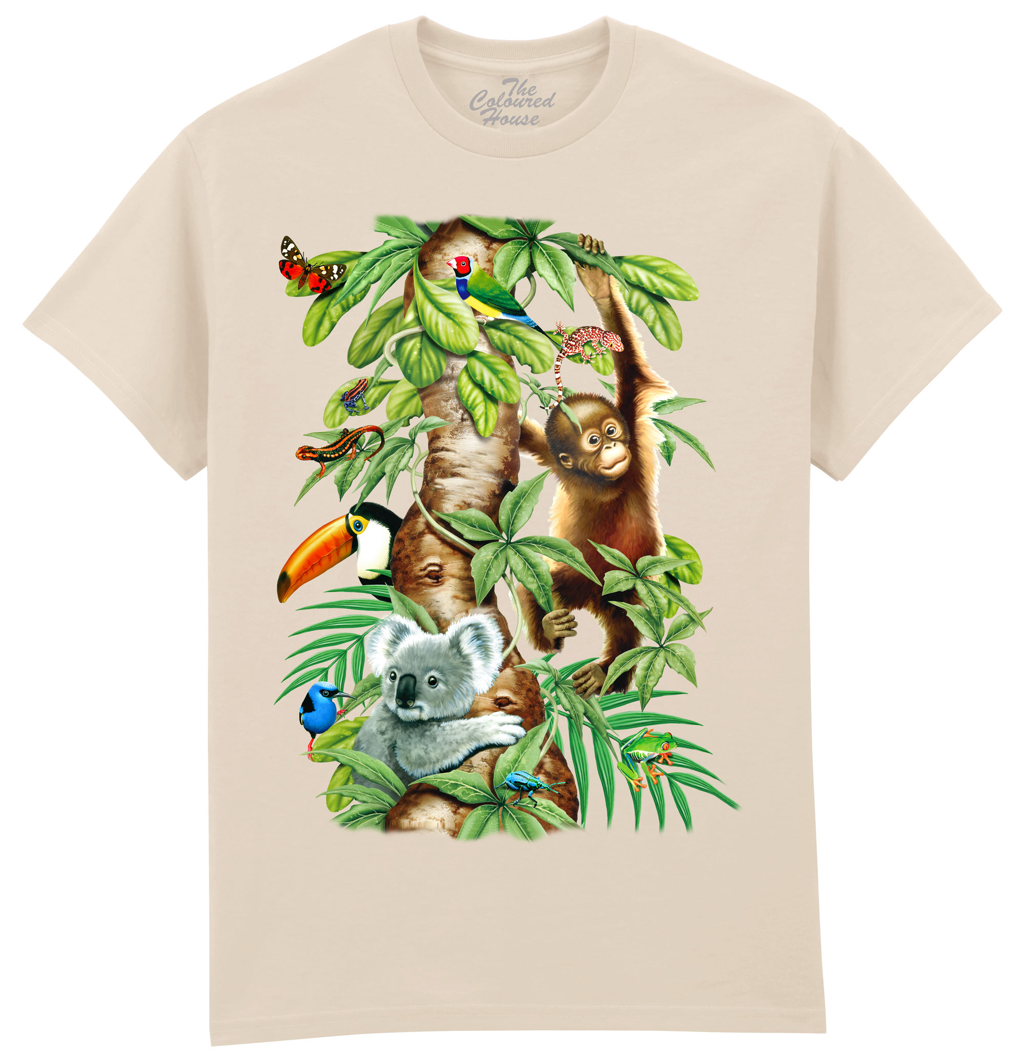 Animals Tree Of Life