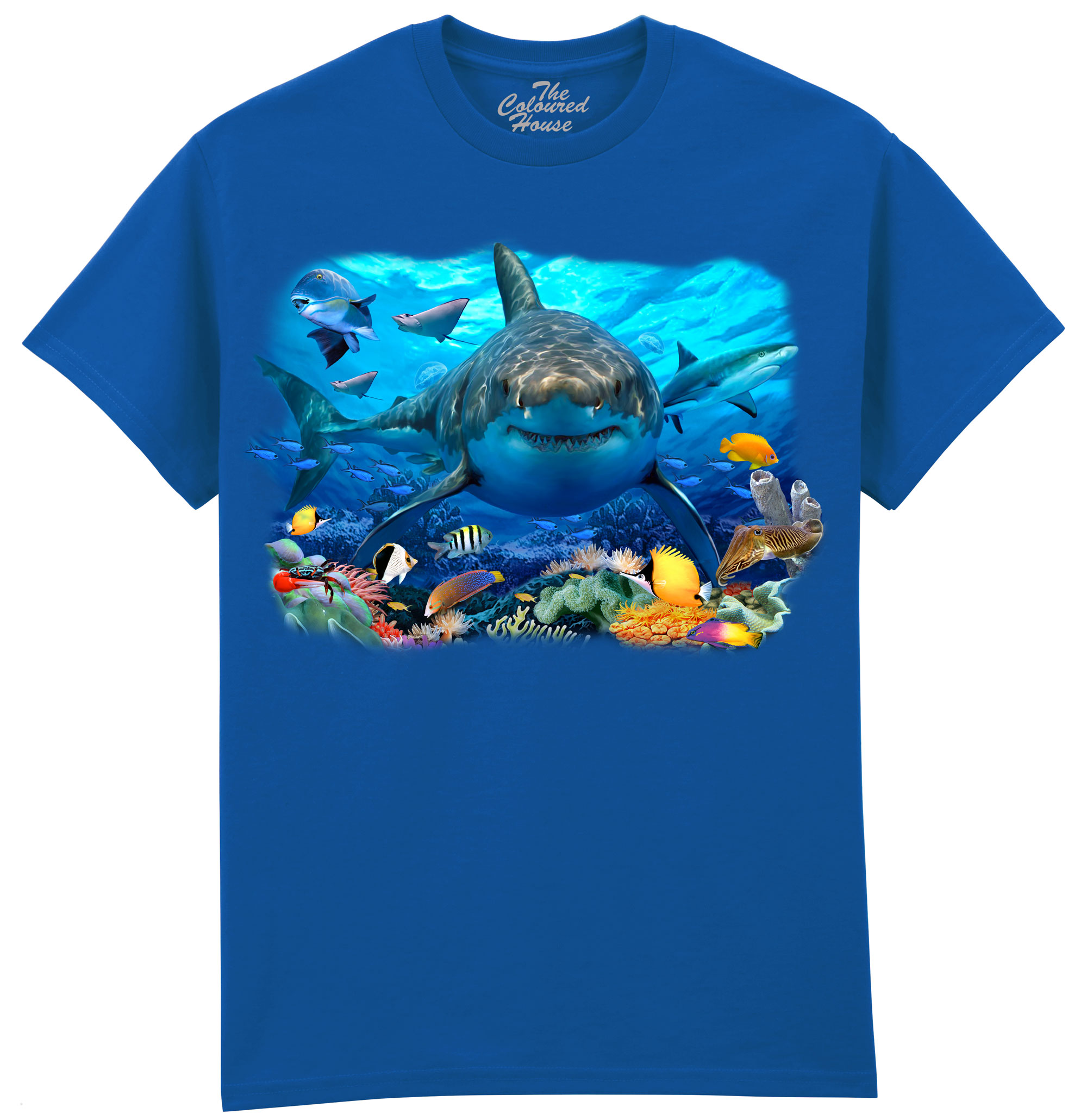 Great White Shark And Sealife