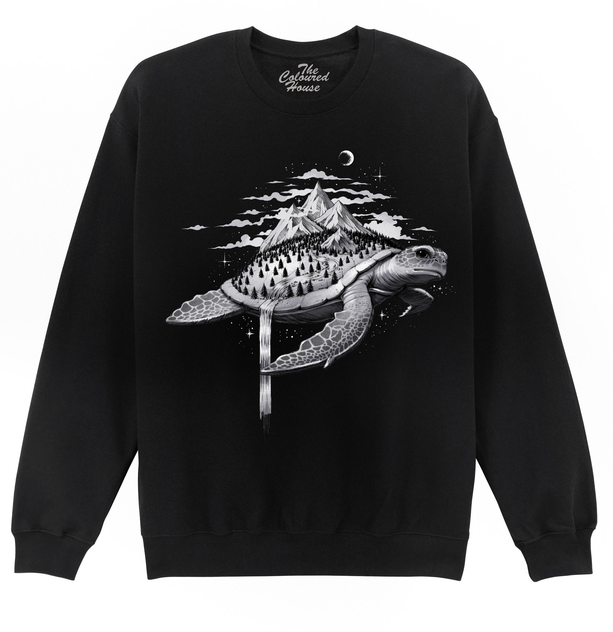 Adventure Turtle Sweater