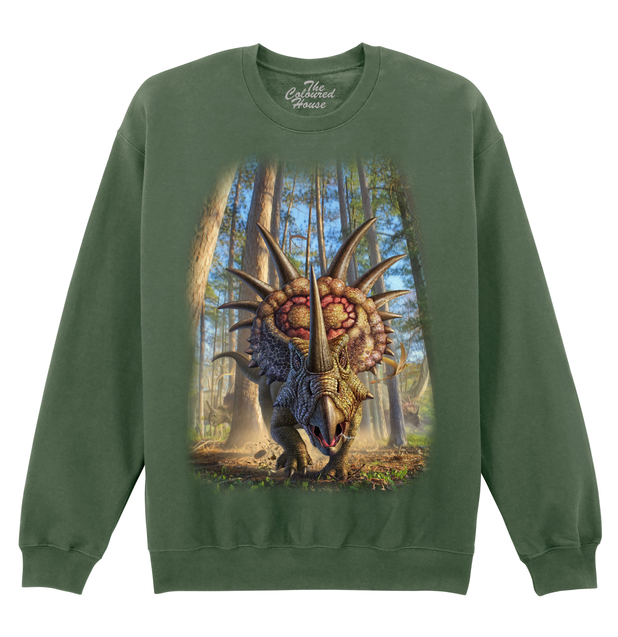 Styracosaur Sweater