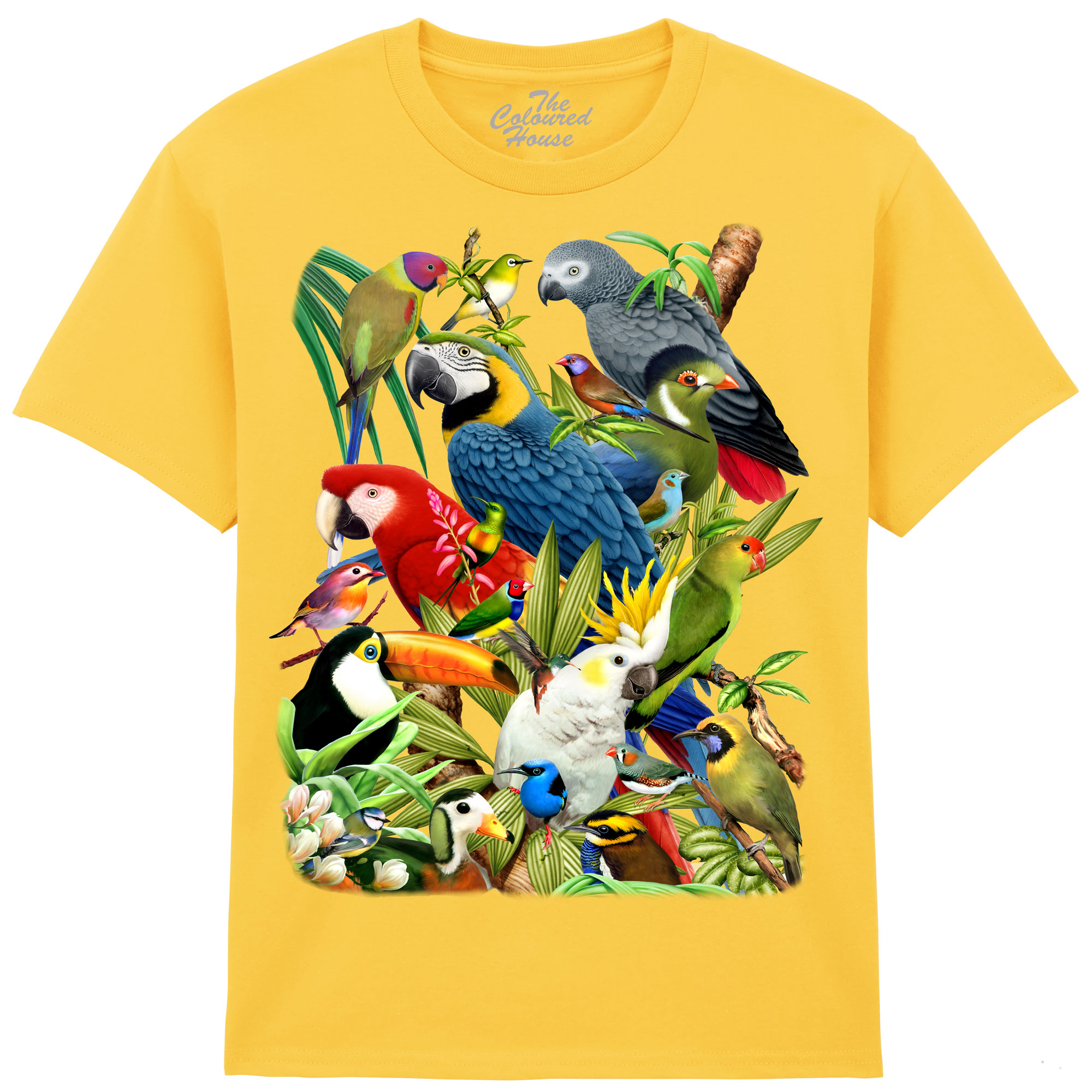 Avian World KIDS