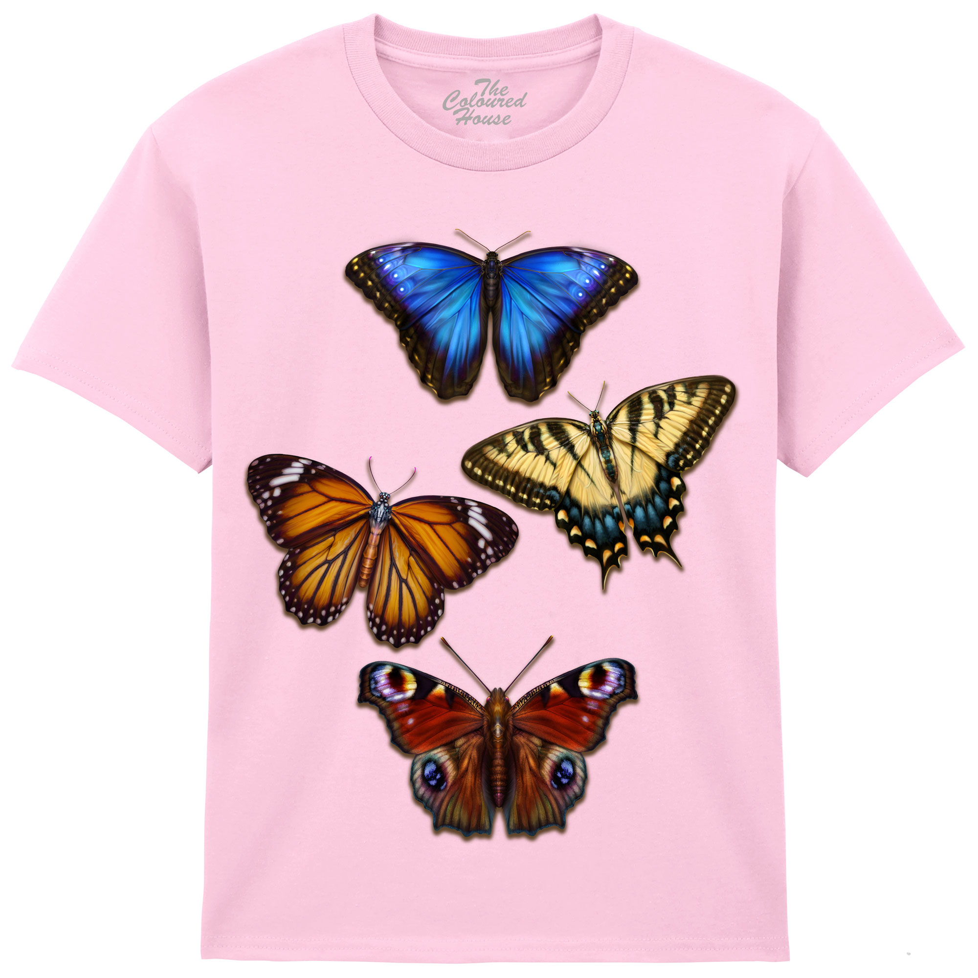Butterflies 4 KIDS