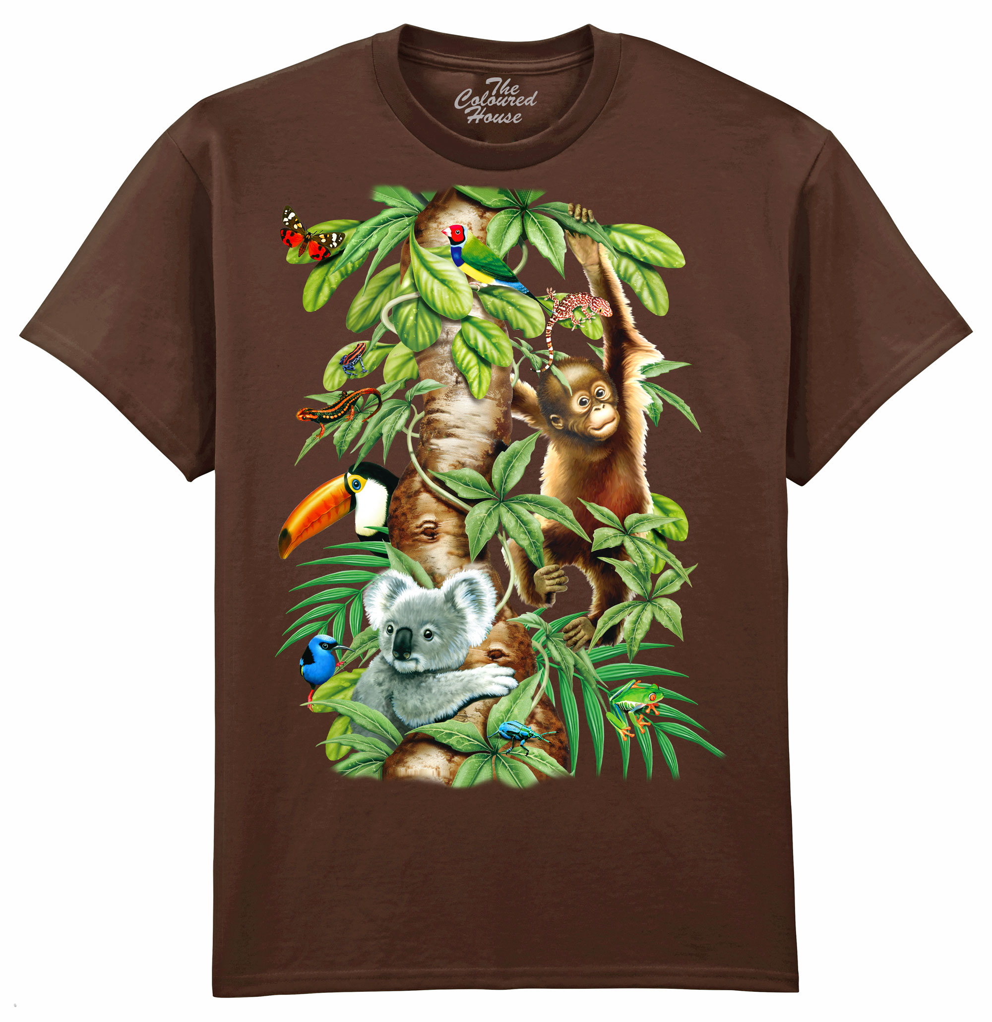Animals Tree Of Life