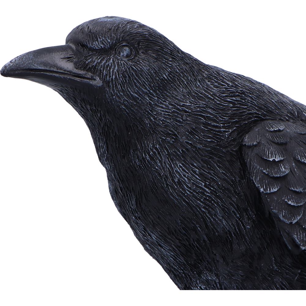 Raven Messenger