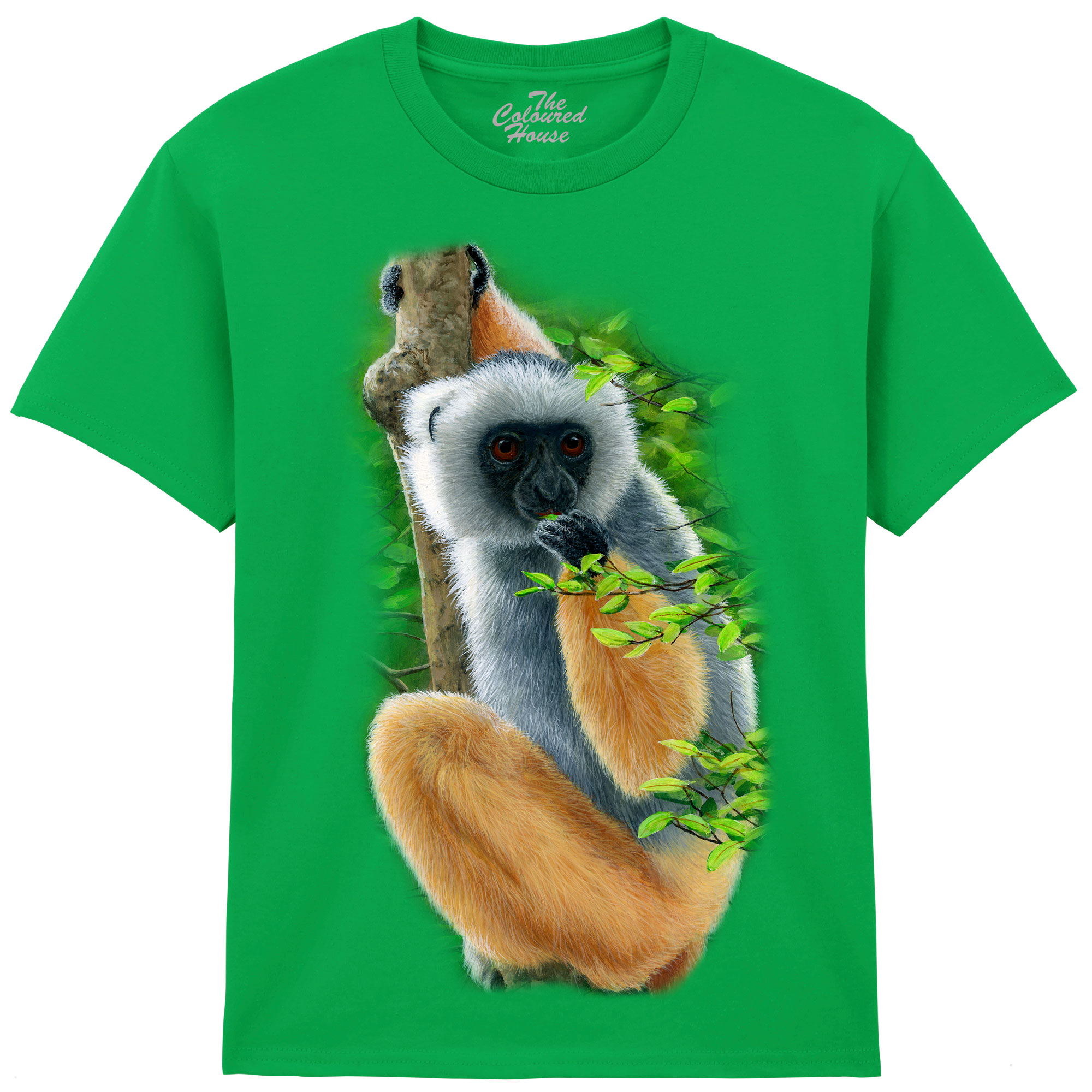 Diademed Sifaka KIDS