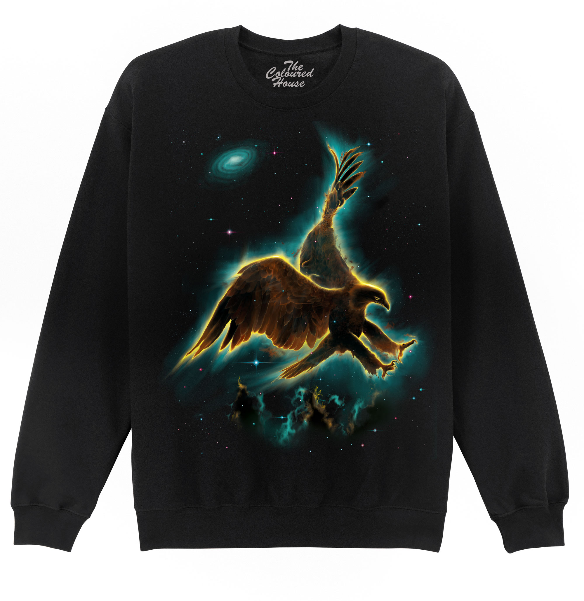 Eagle Galaxy Sweater
