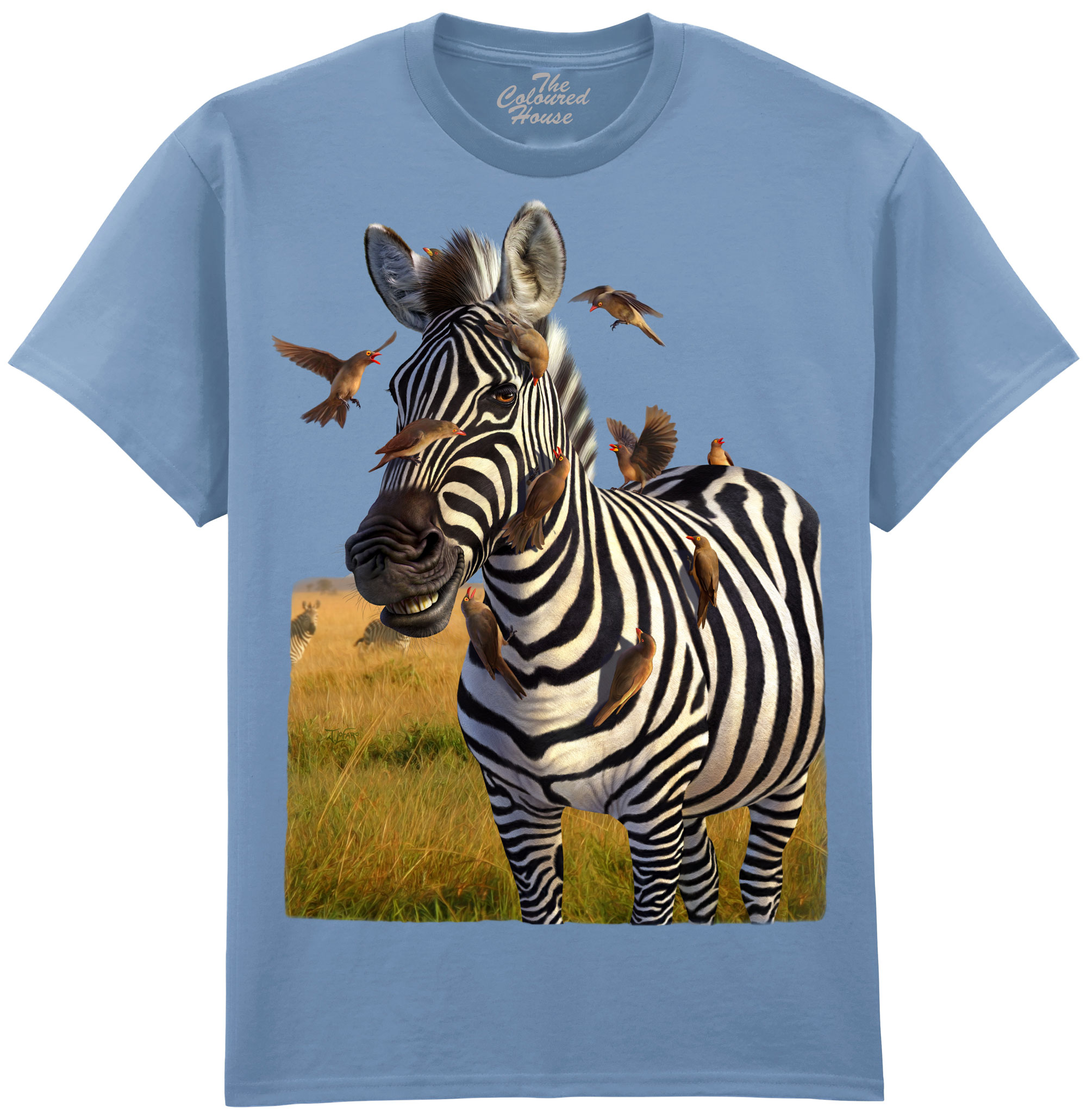 Jailbird - Zebra Jailbird - Zebra