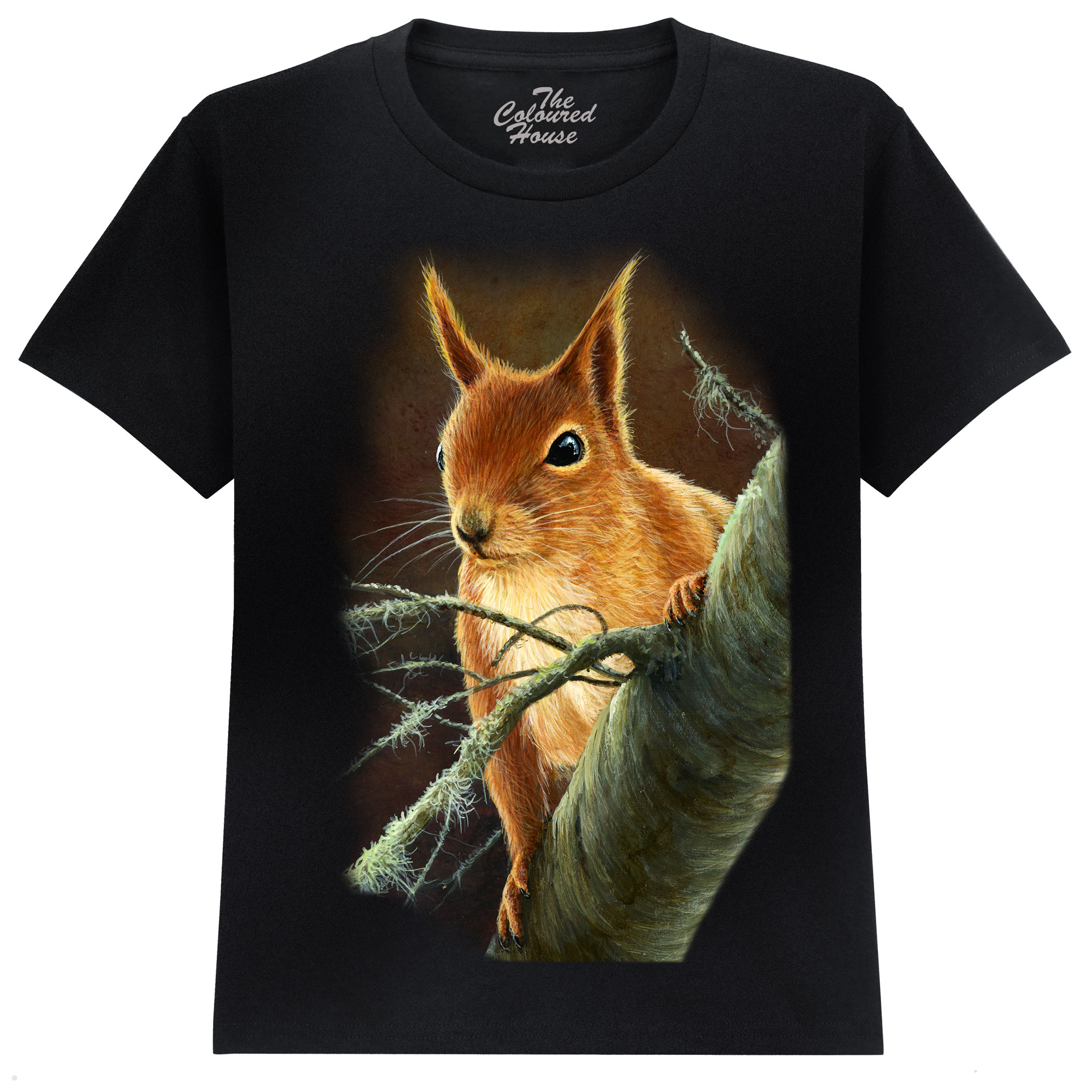 Curious Red Squirrel KIDS