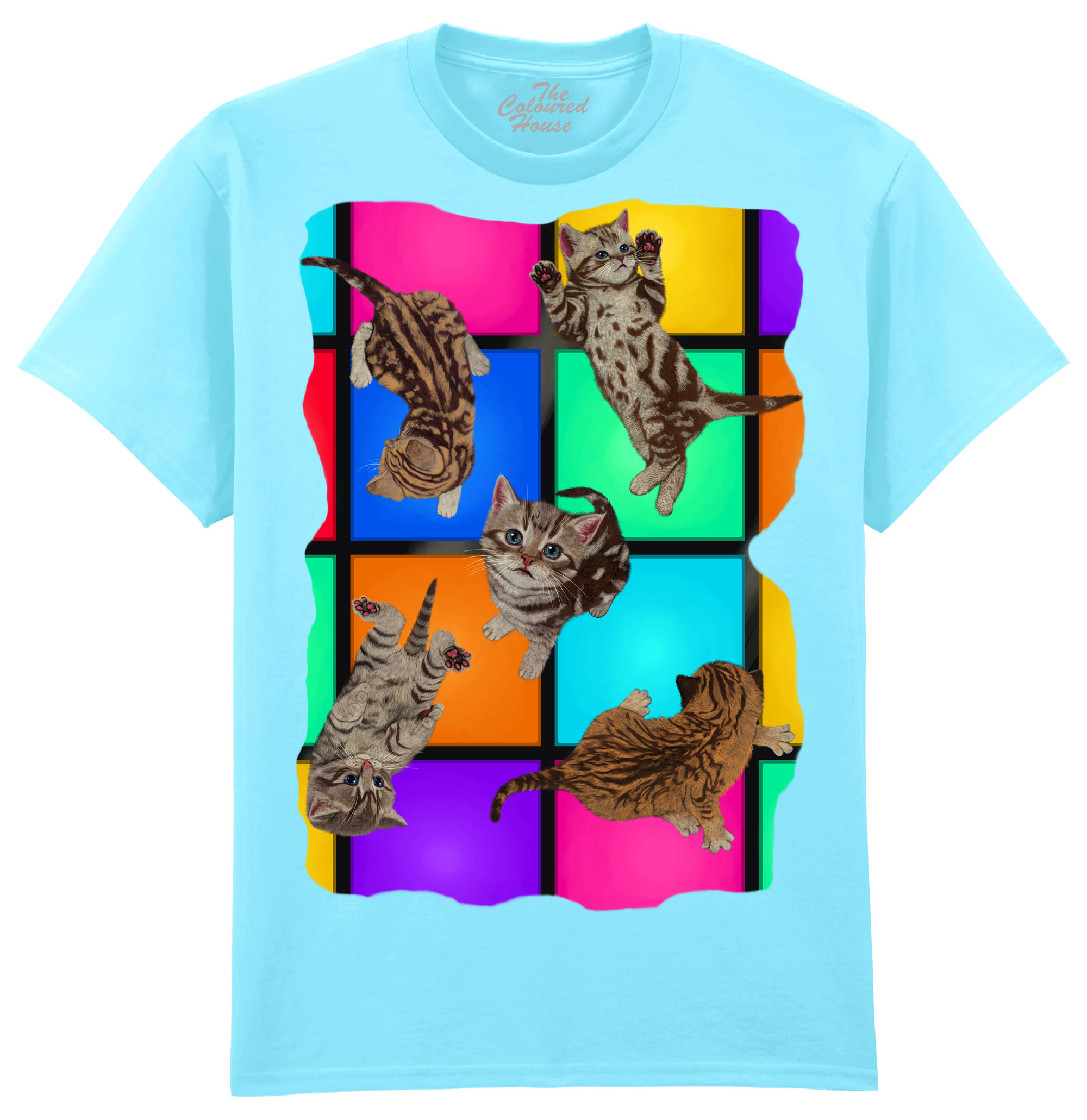Disco Kittens