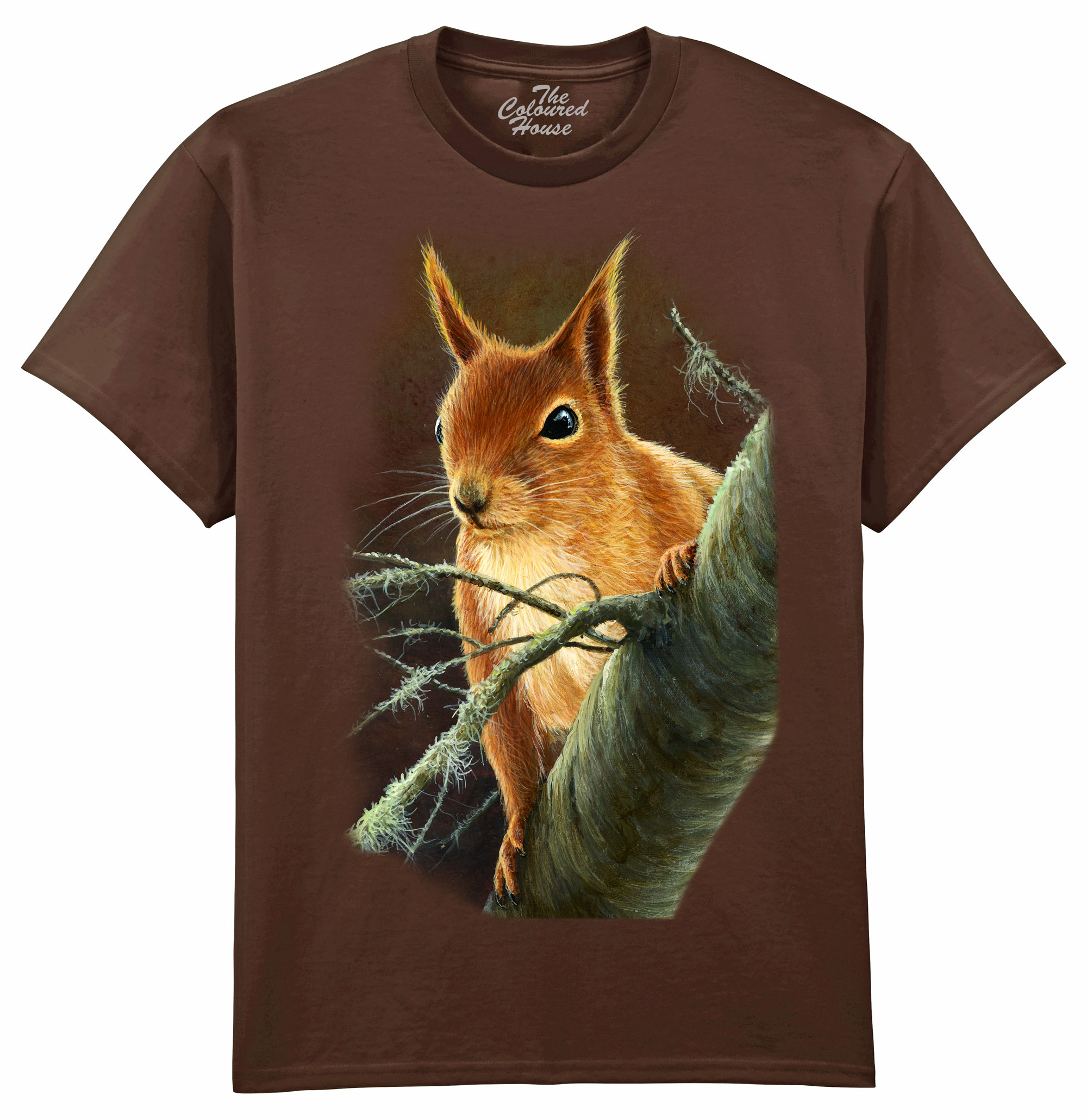 Curious Red Squirrel