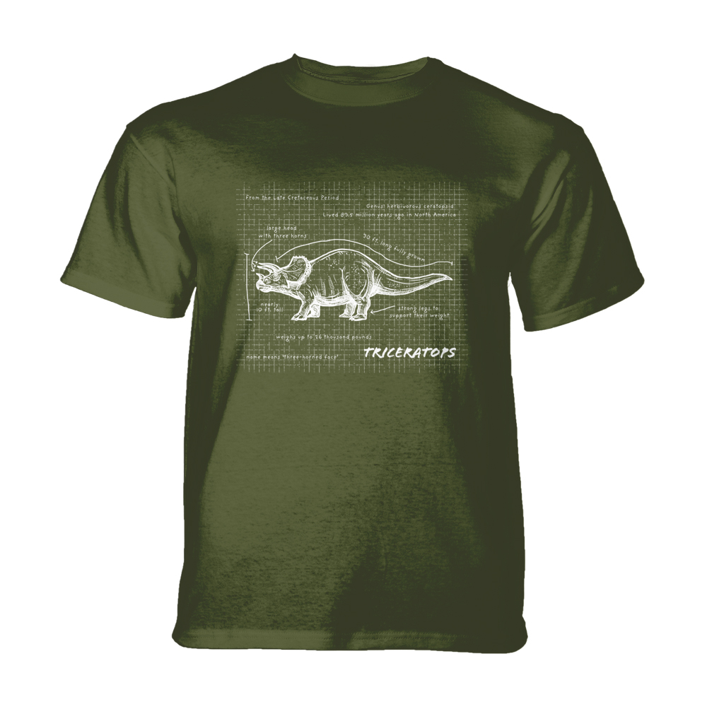 Triceratops Fact Sheet Green KIDS