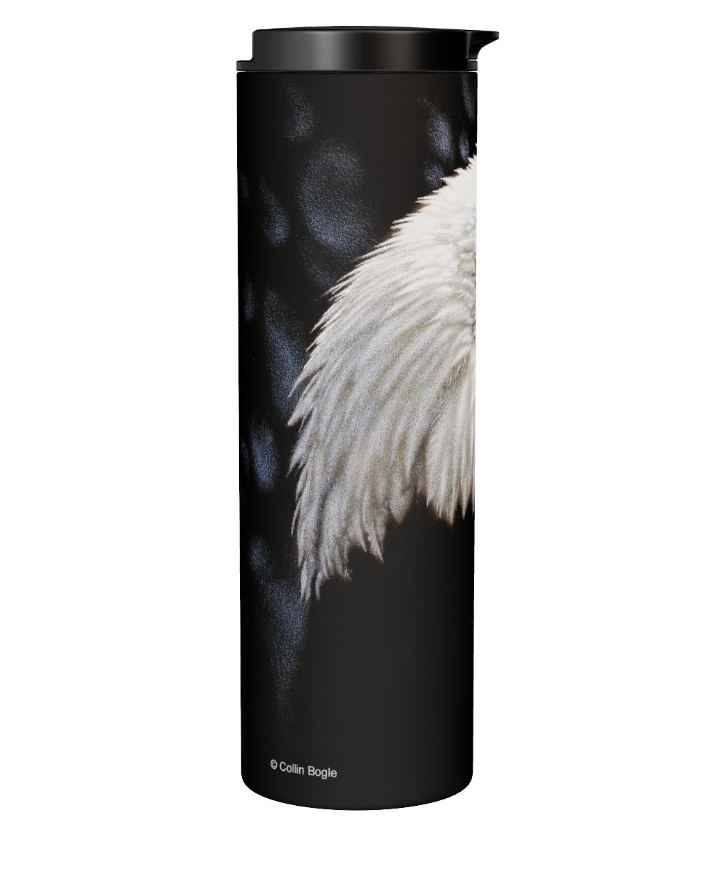 Bald Eagle Portrait Tumbler
