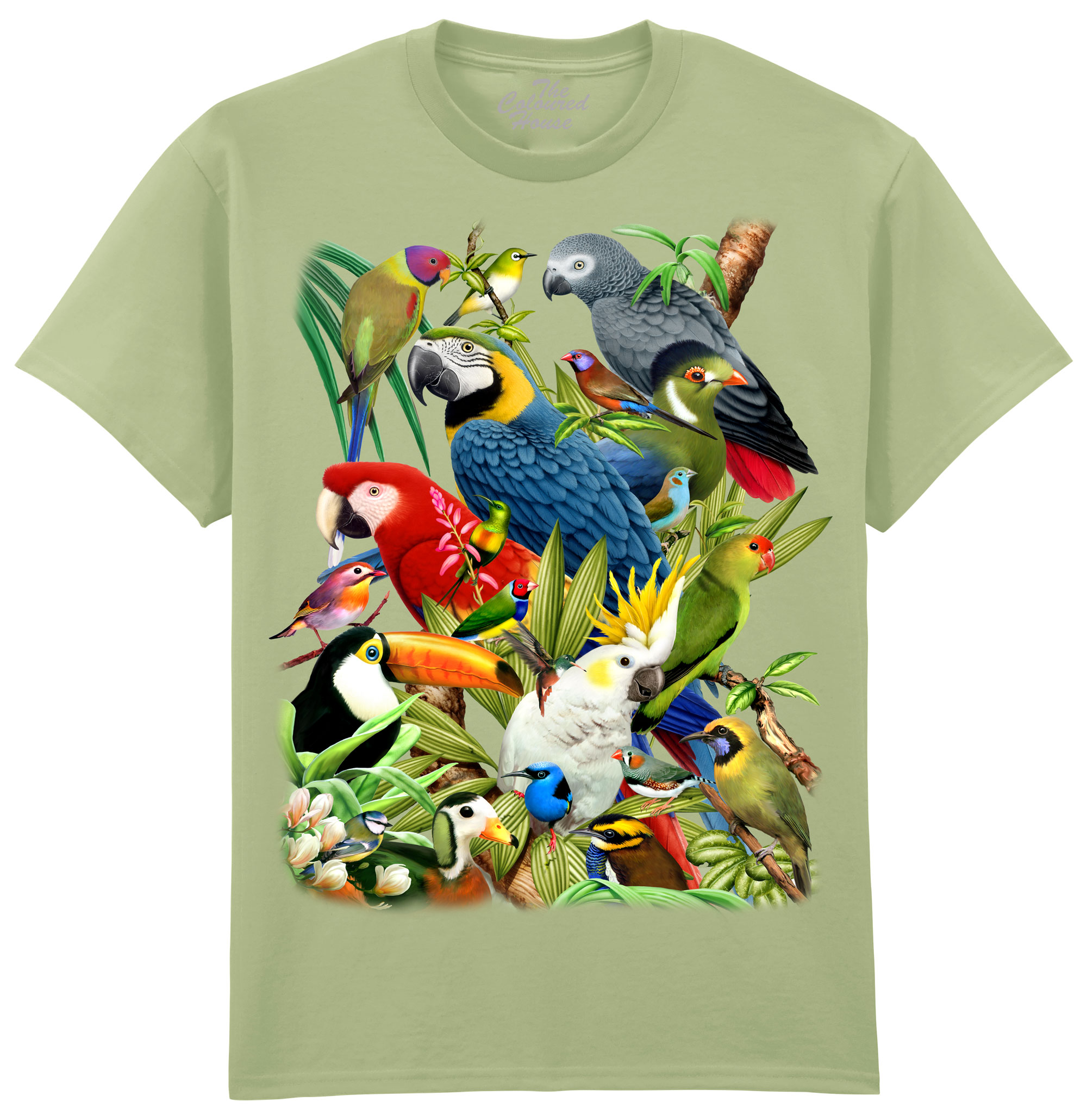 Avian World Avian World