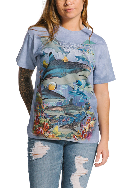 Reef Sharks