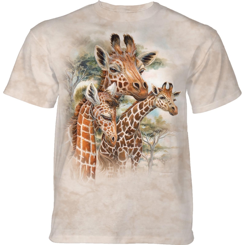Giraffes