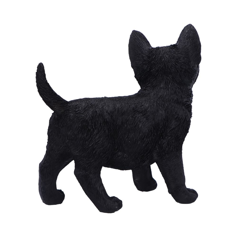 Charmed Companion 20cm - Black Cat Charmed Companion 20cm - Black Cat
