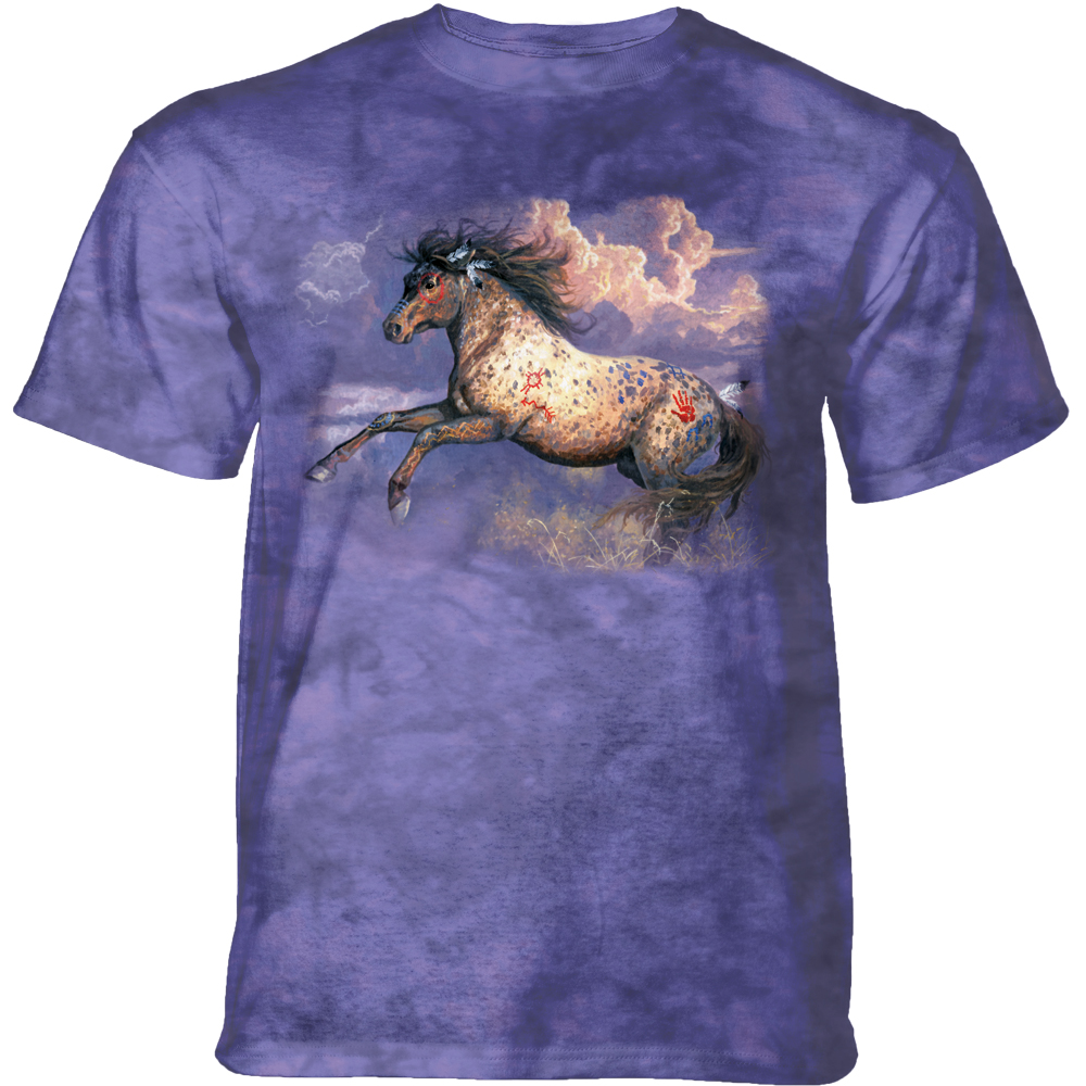 The Old Warrior Horse