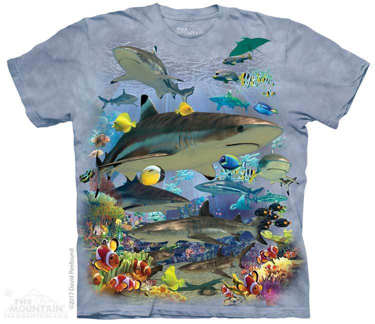 Reef Sharks
