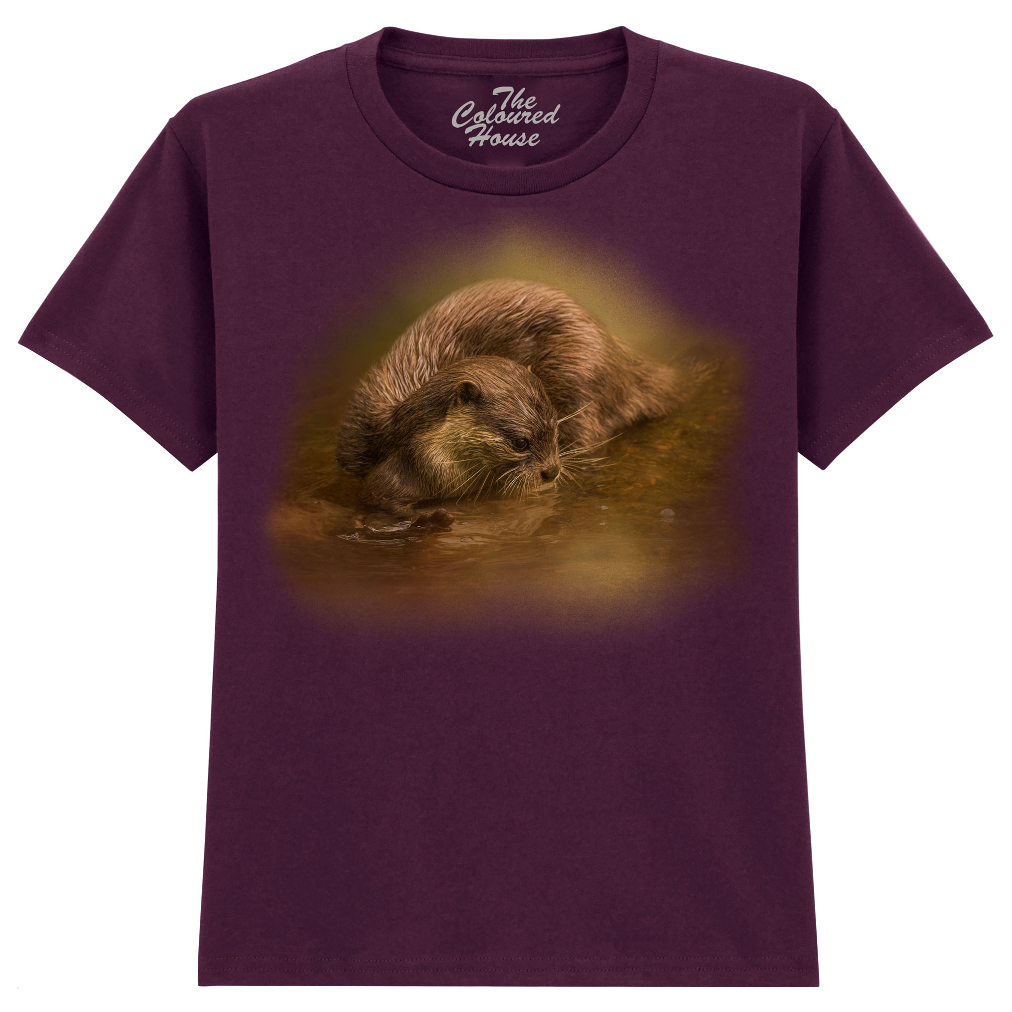 Otter Curiosity KIDS