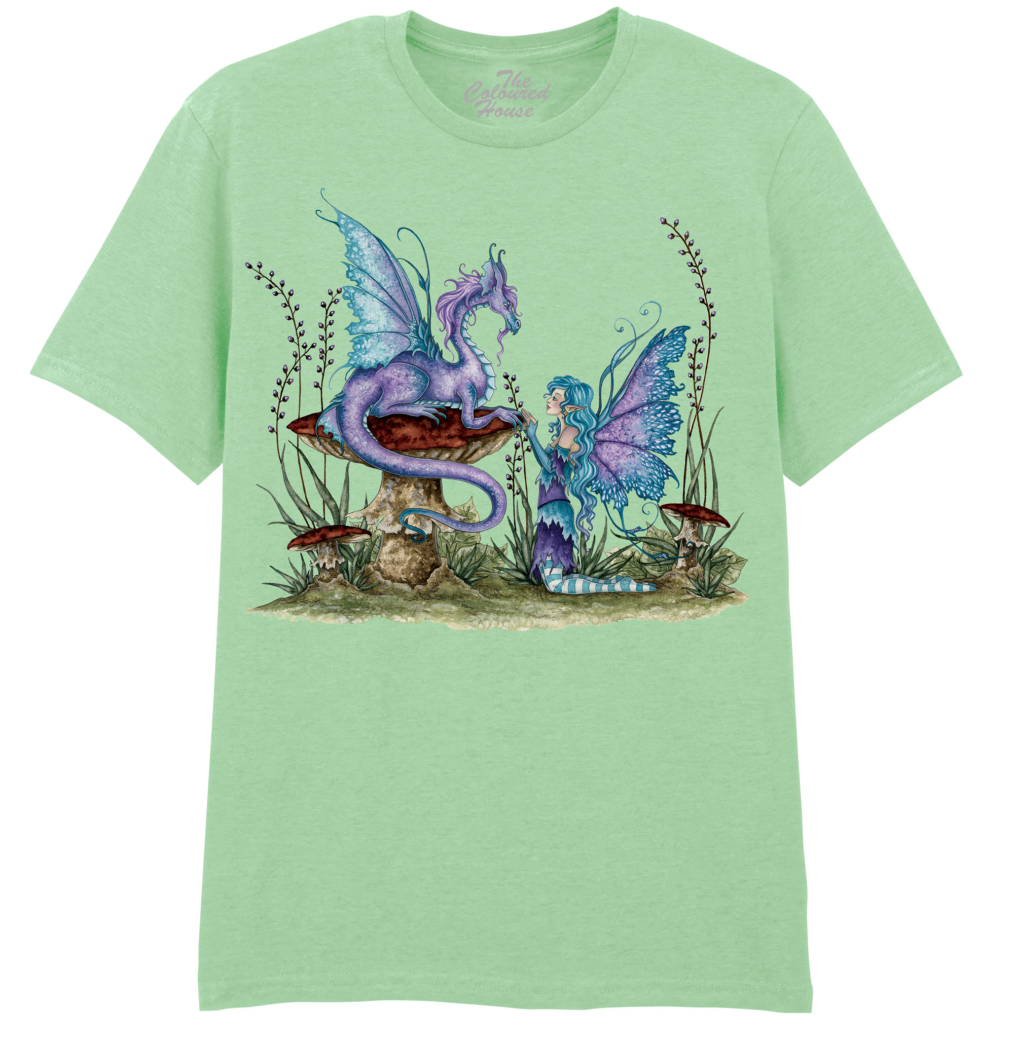 Companions - Fairy and Dragon