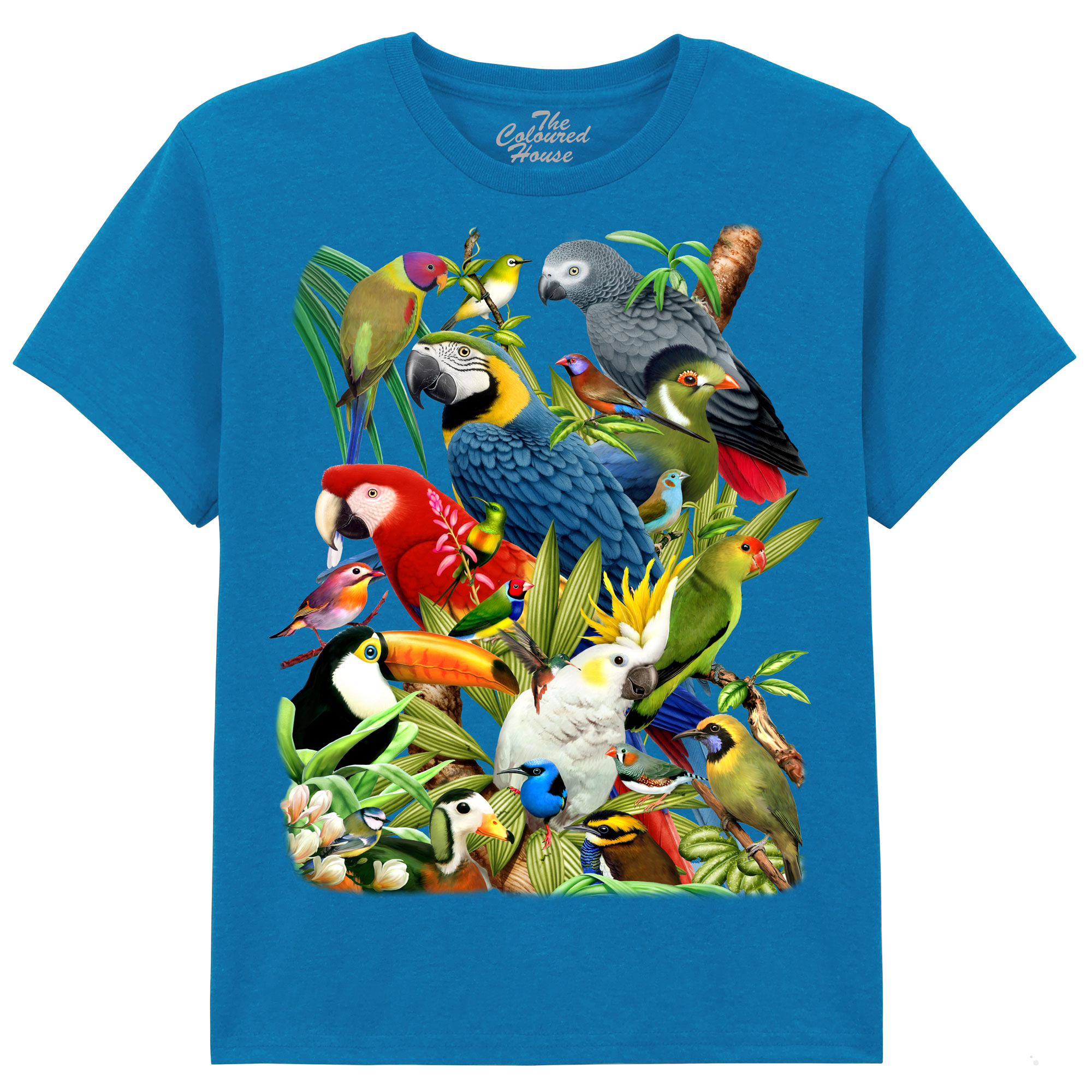 Avian World KIDS