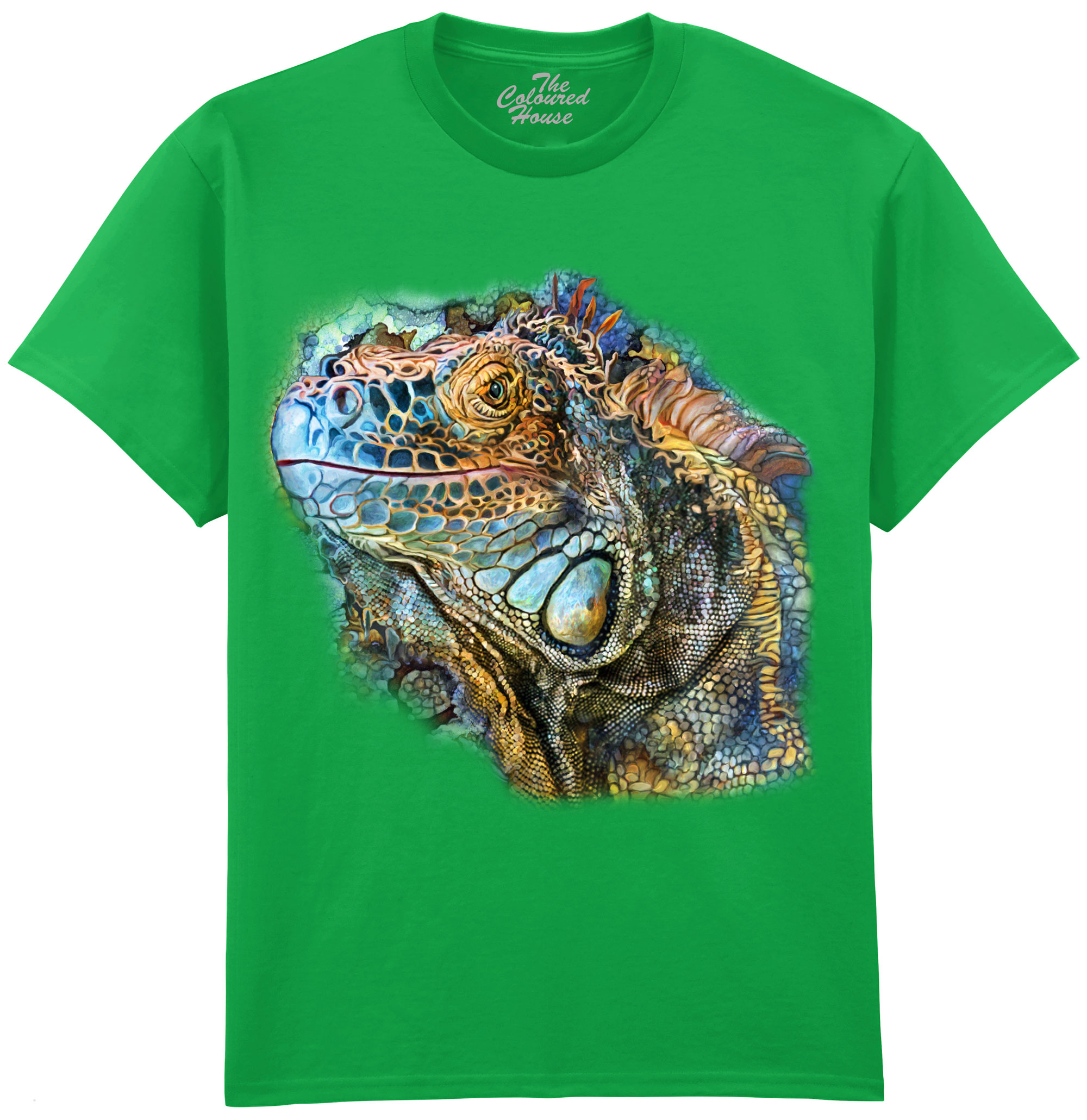 Iguana Spirit Of Contentment