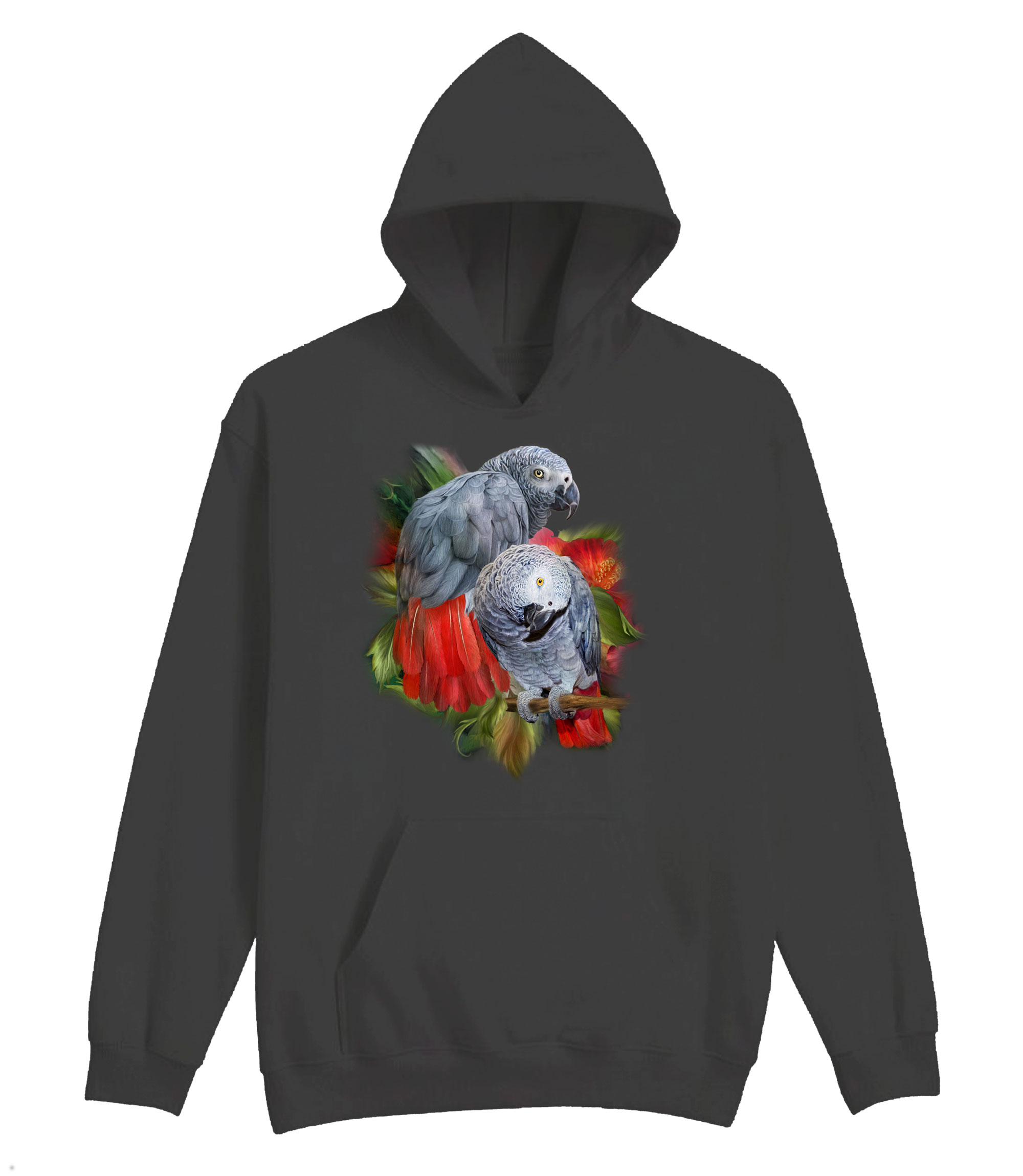 African Greys Hoodie