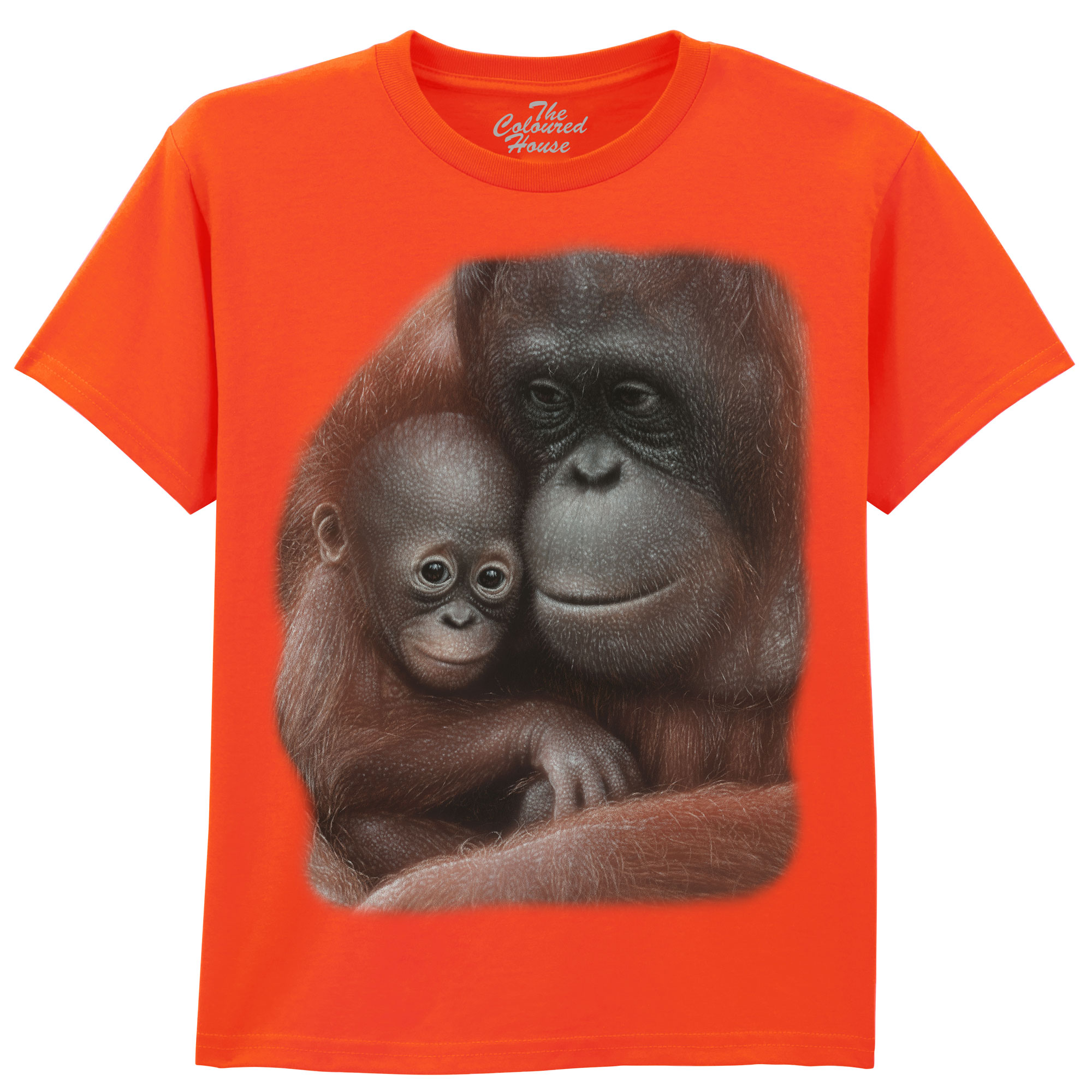 Snuggled - Orangutan KIDS 