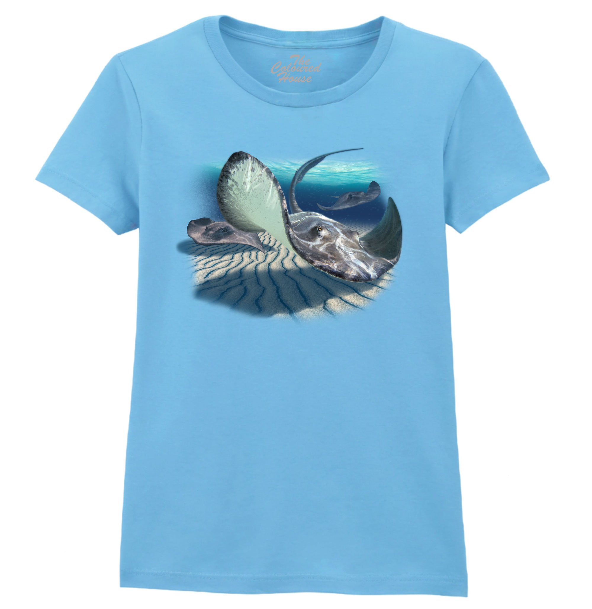 Stingrays Ladies T-shirt