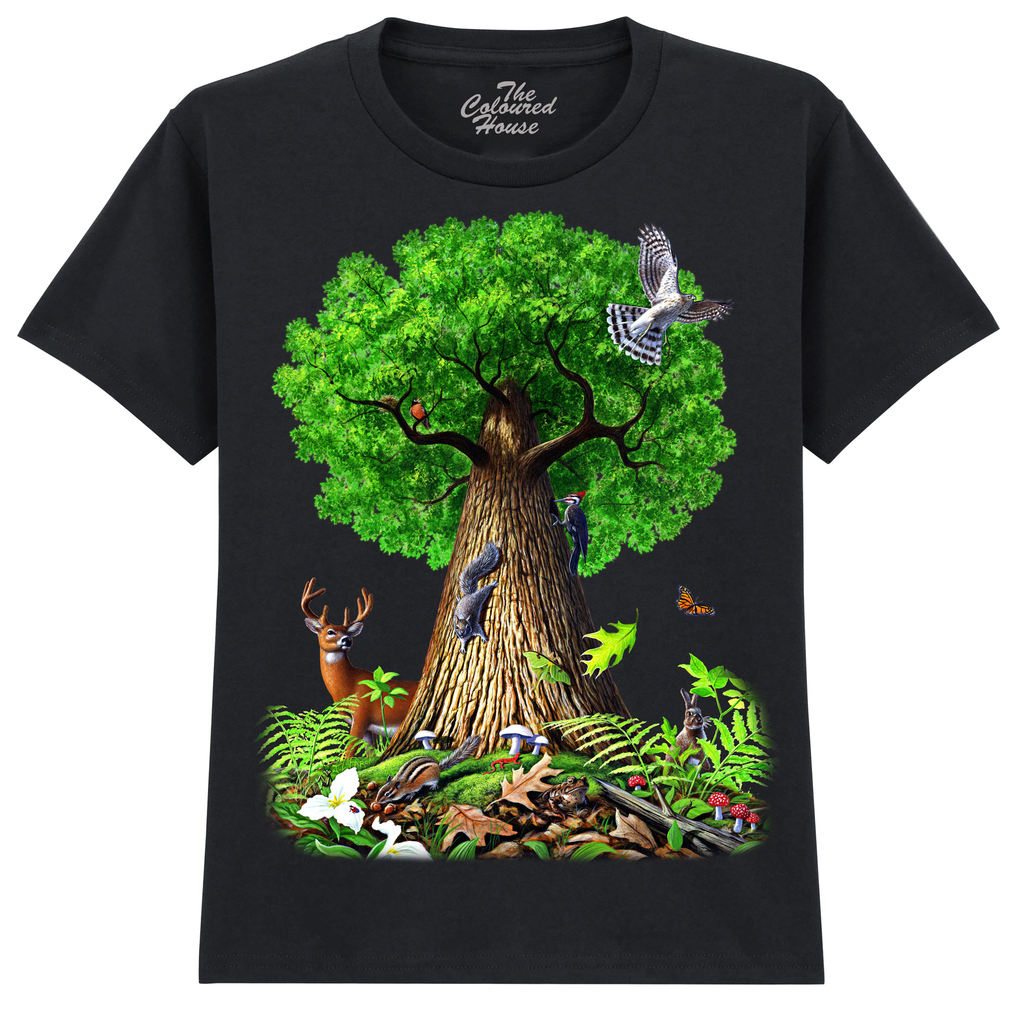 Tree Of Life Animals KIDS Tree Of Life Animals KIDS
