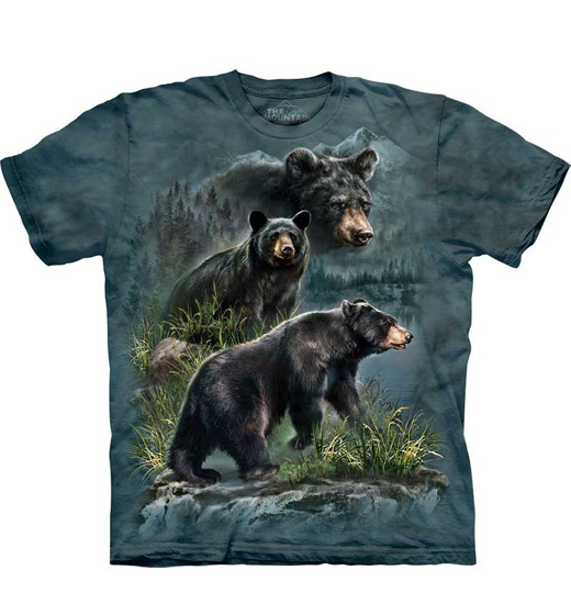 Three Black Bear