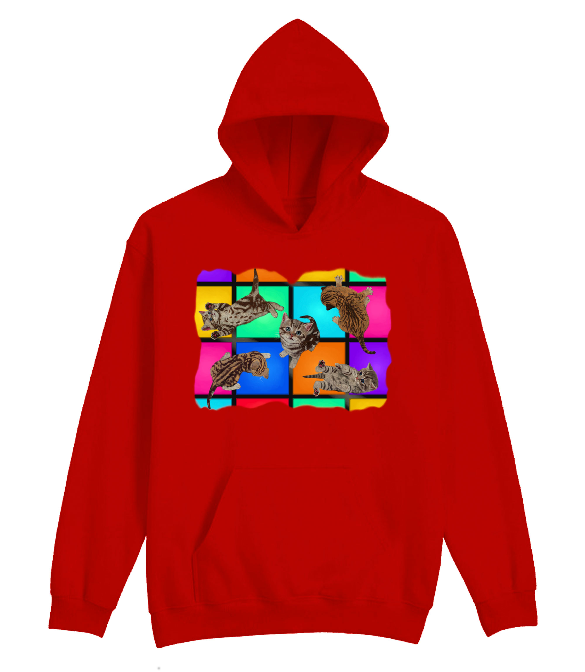 Disco Kittens Hoodie