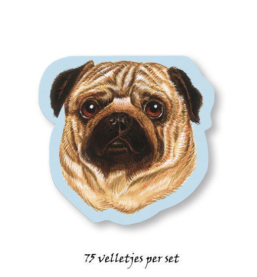 Pug