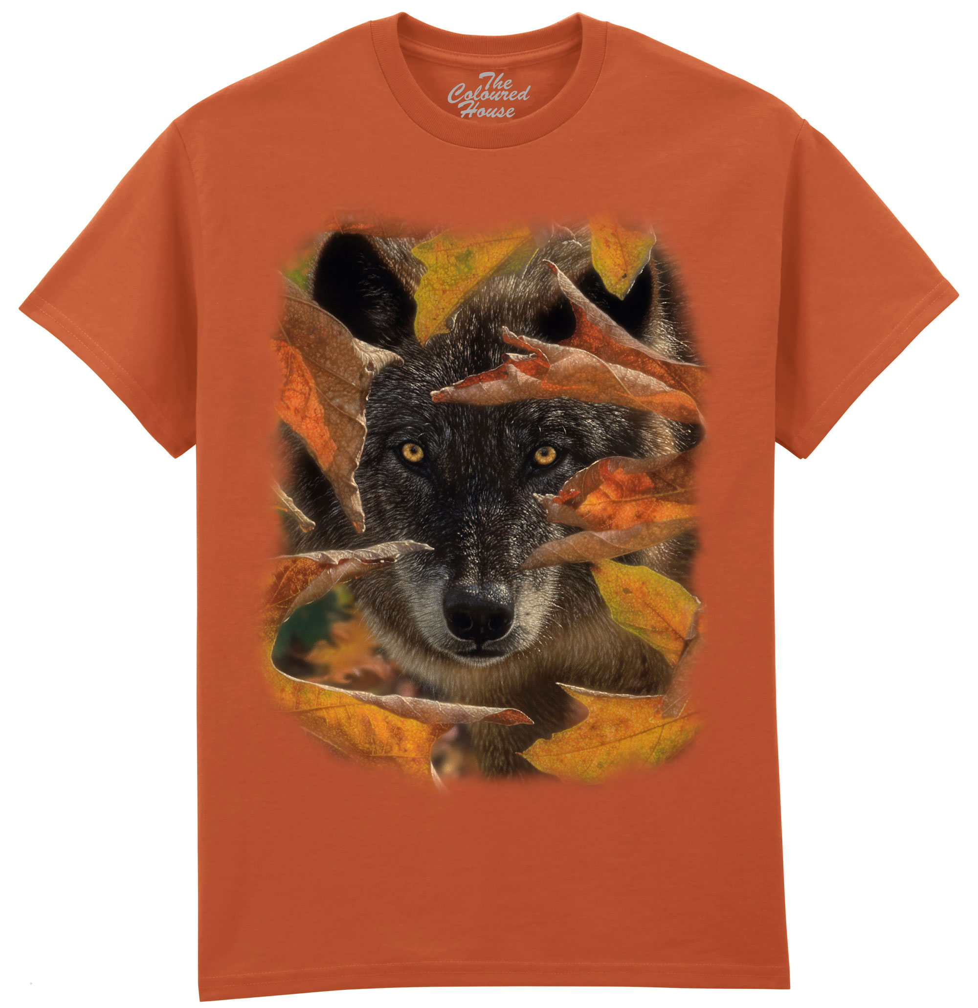 Autumn Black Wolf