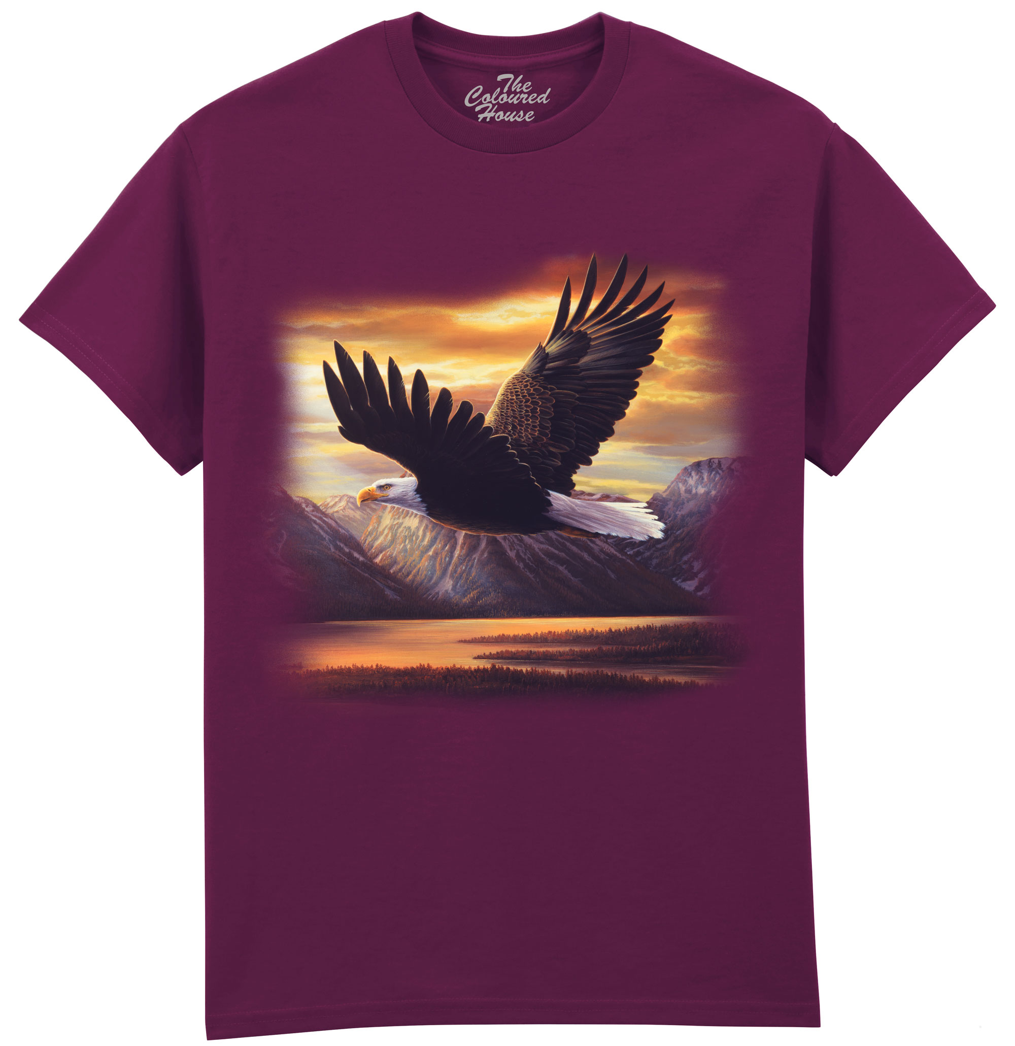 Sacred Vigil - Bald Eagle