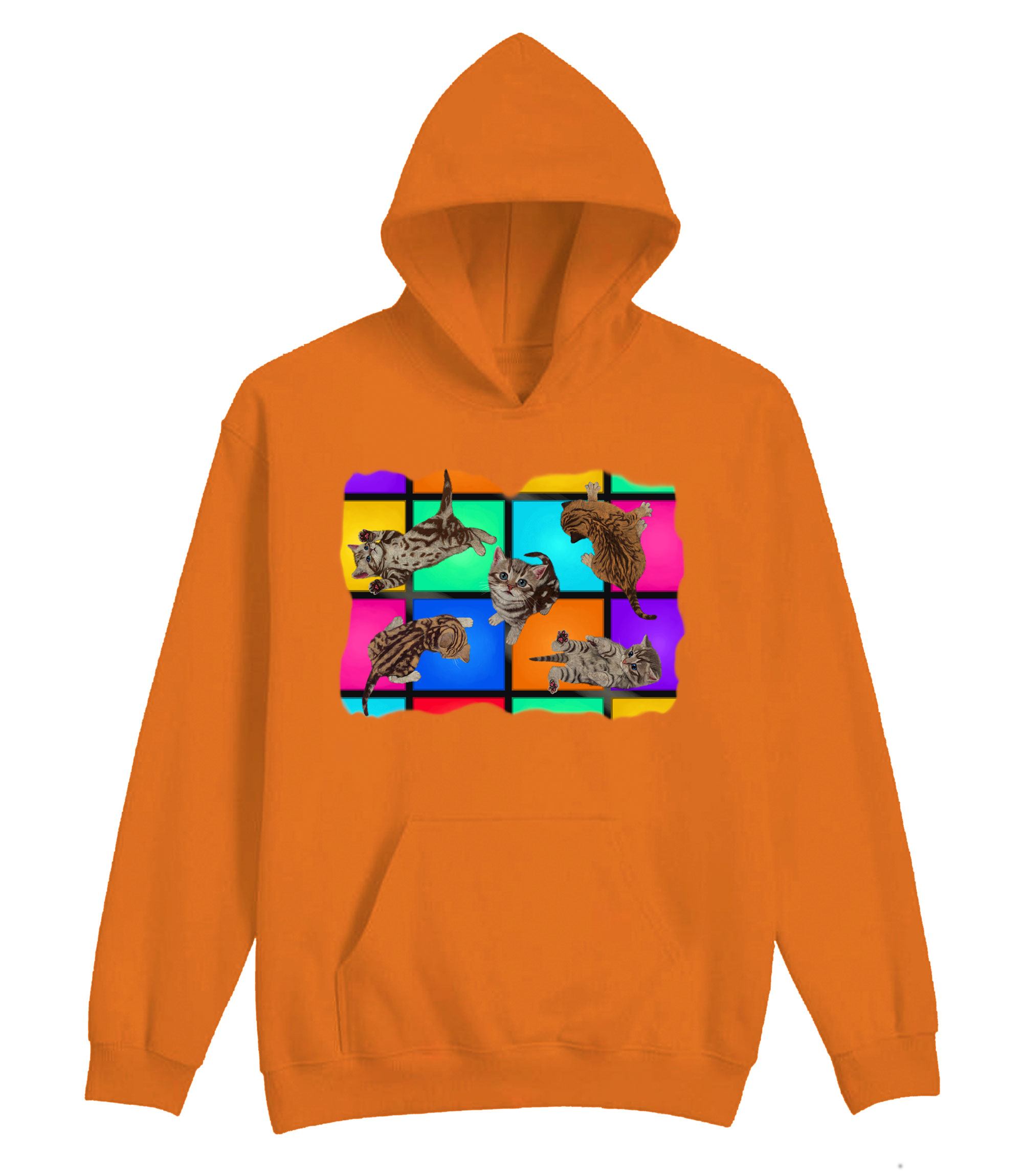 Disco Kittens Hoodie