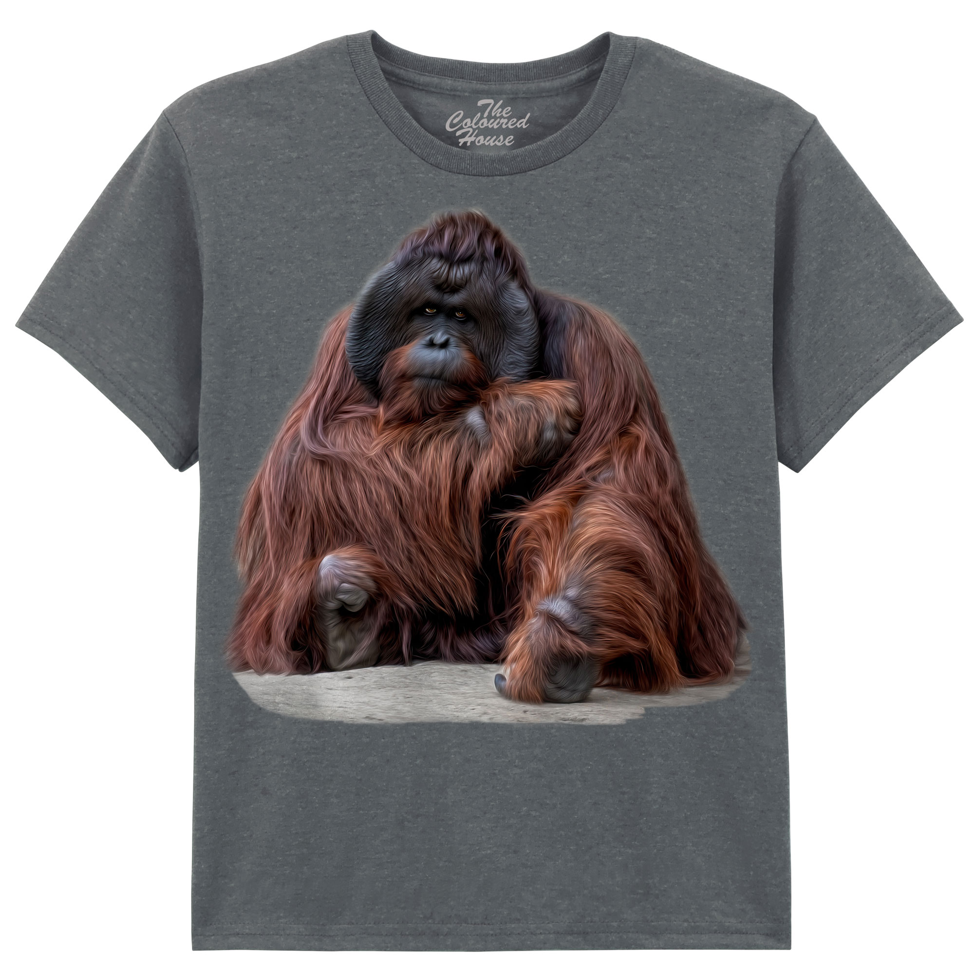 Wisdom Beyond Words - Orangutan KIDS Wisdom Beyond Words - Orangutan KIDS
