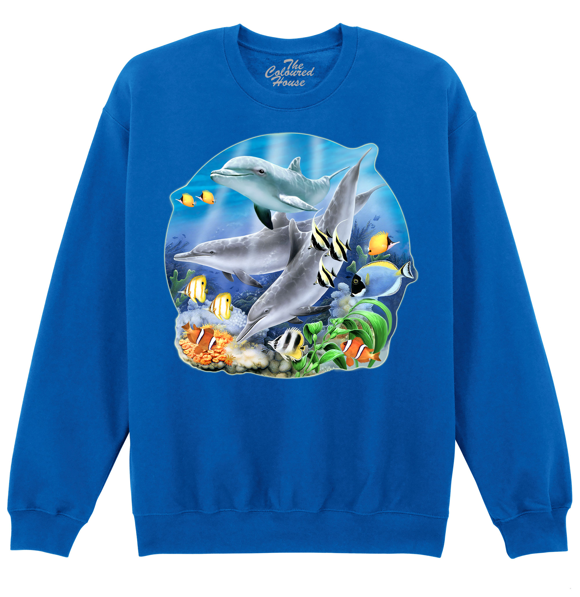 Dolphins Dive Sweater