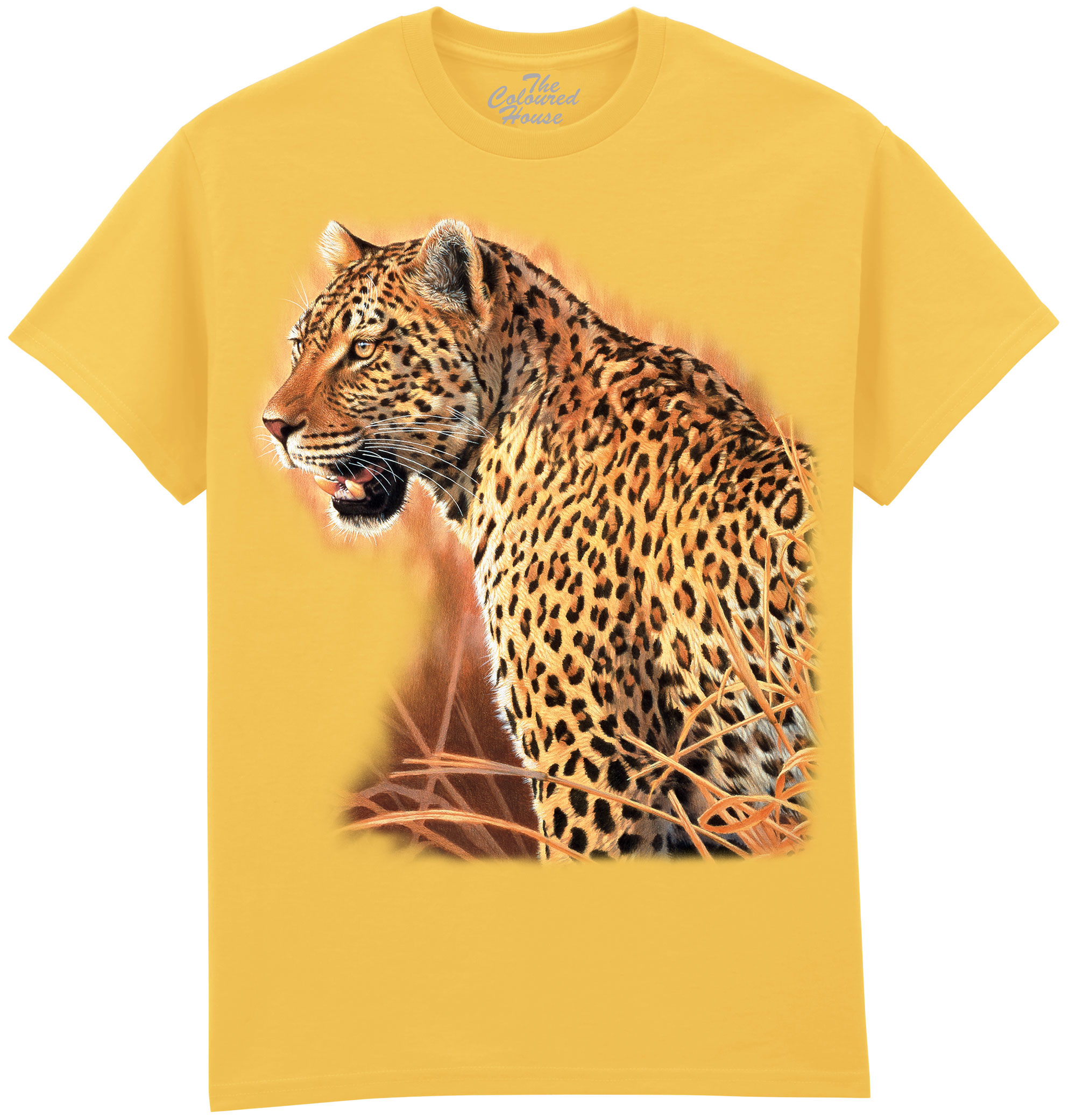 Brave Leopard