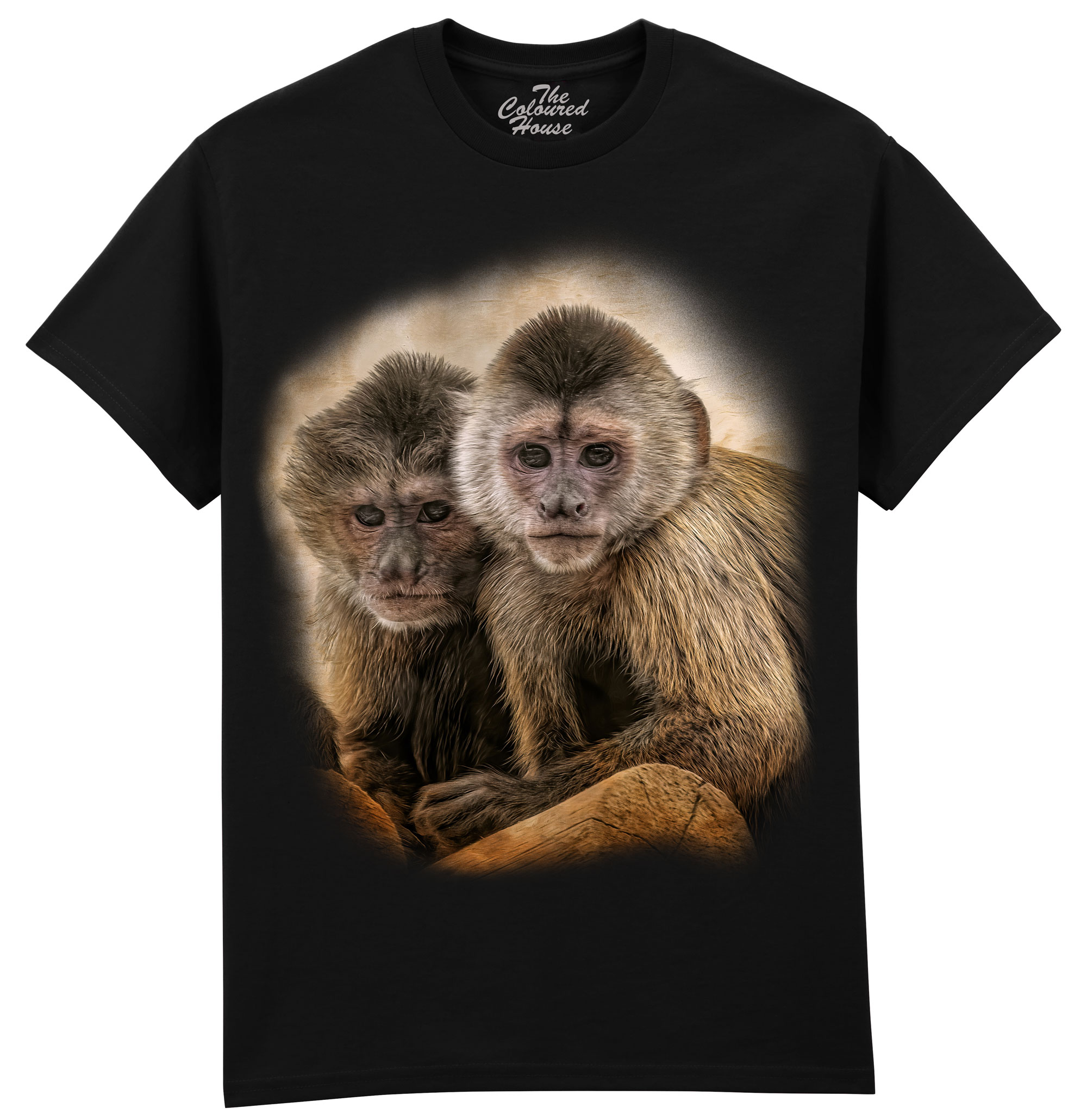 Companions In Mischief - Squirrel Monkeys