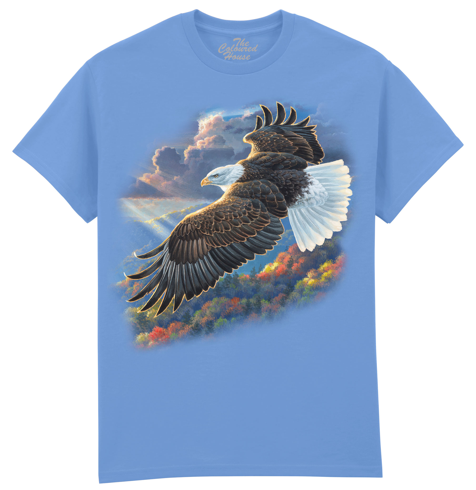 Freedom - Bald Eagle