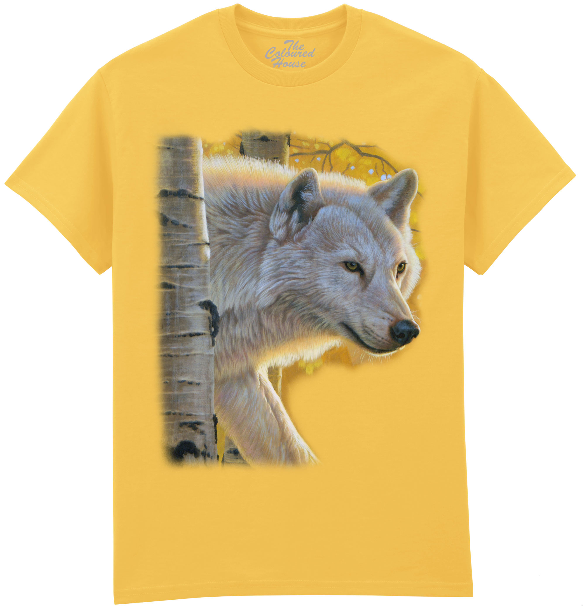 Aspen Wolf