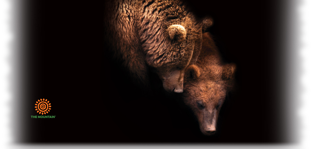 Becher Maternal Moments Bear