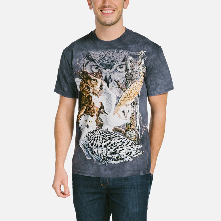 Find 11 Owls