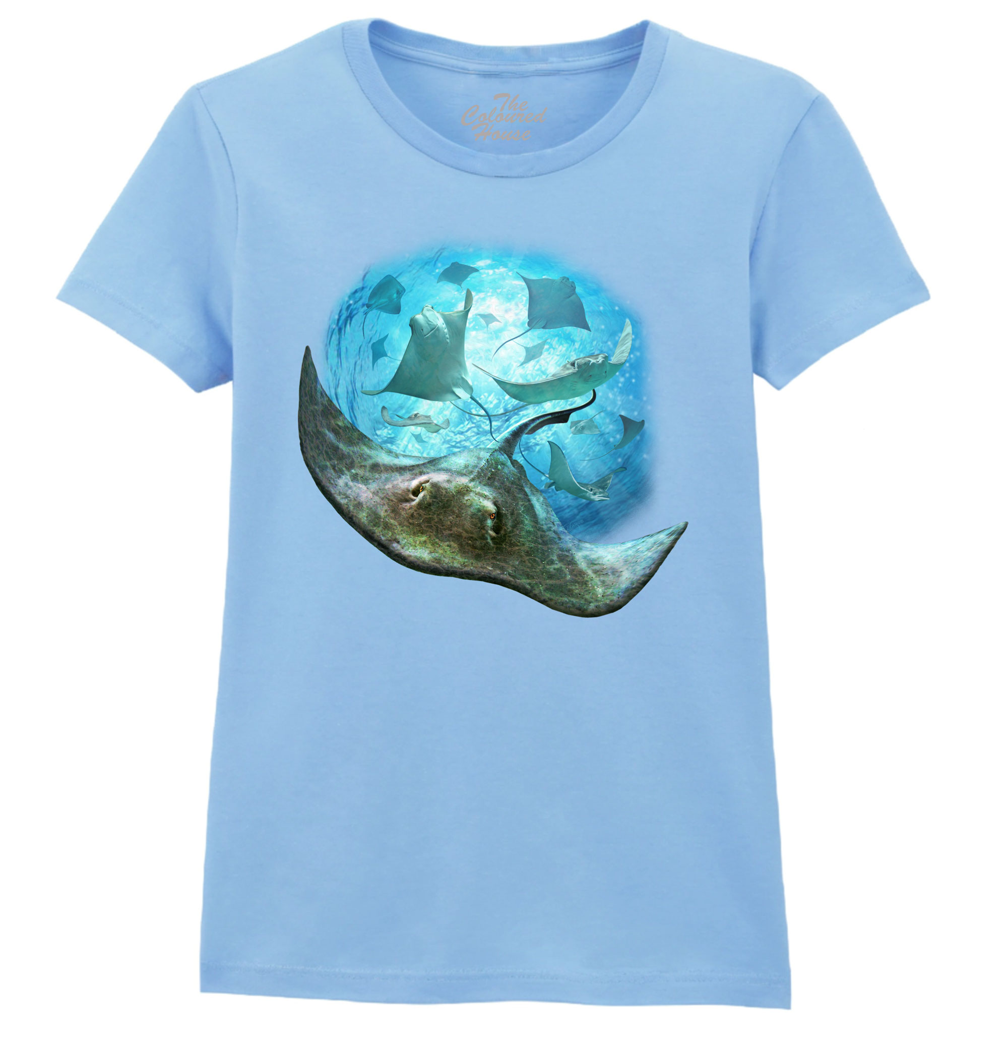 School Of Stingrays Ladies T-shirt