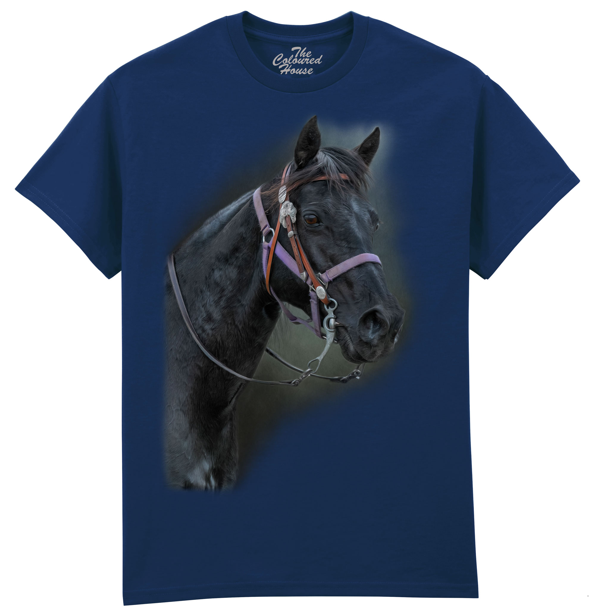 Pride Of The Pasture - Horse