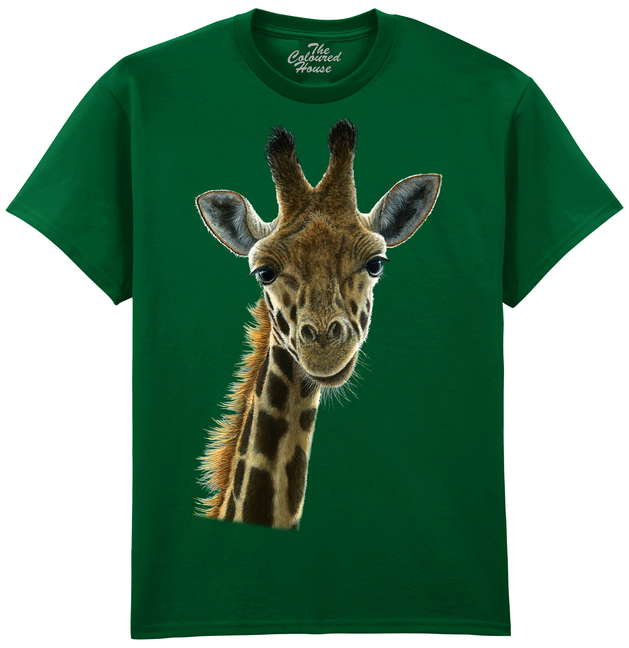 Giraffe Beauty